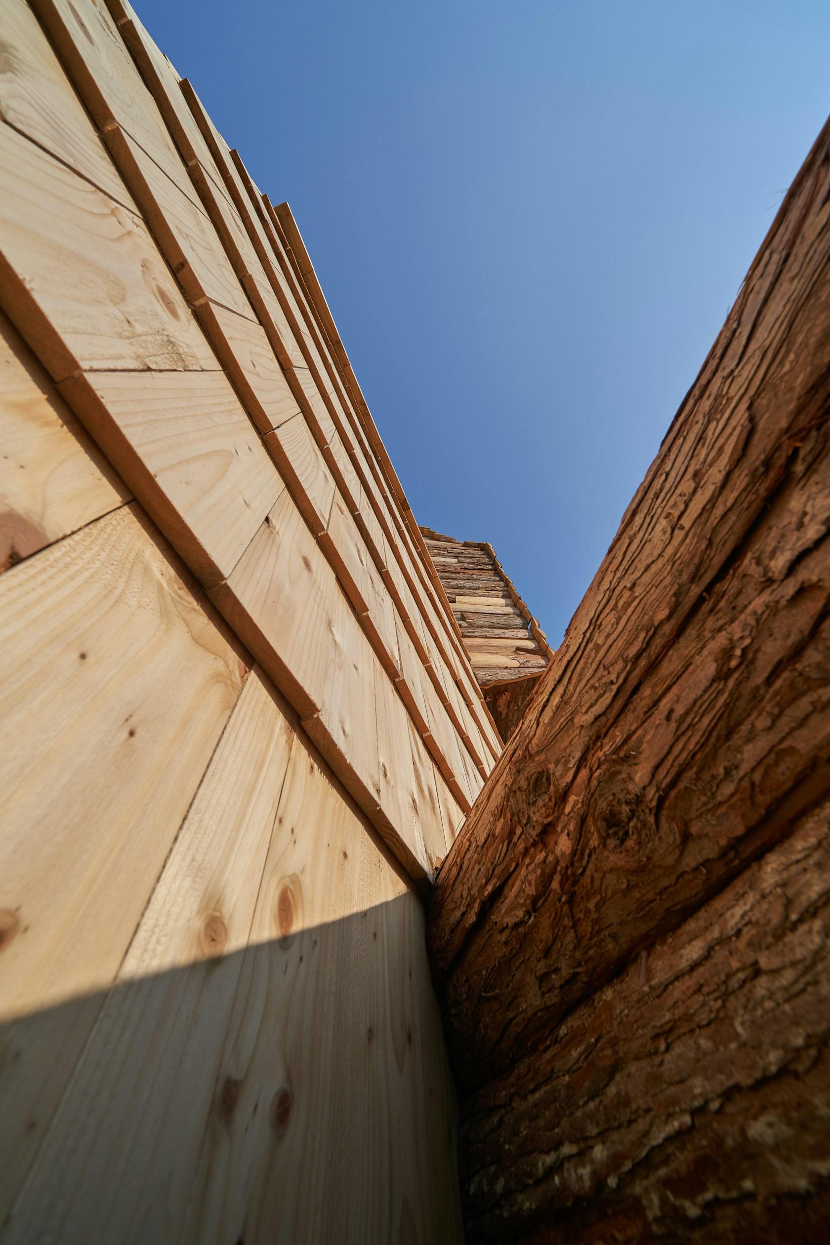 Boolean Birdhouse - image 8