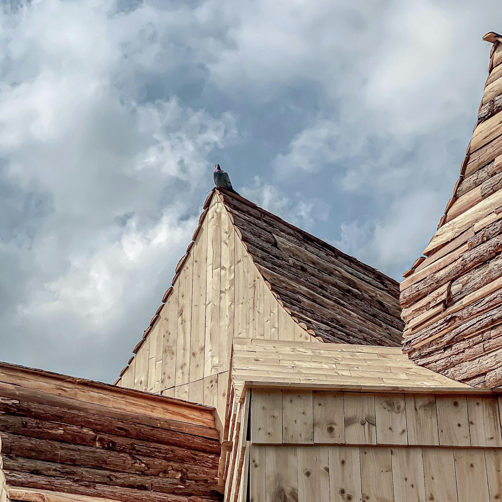 Boolean Birdhouse - image 11