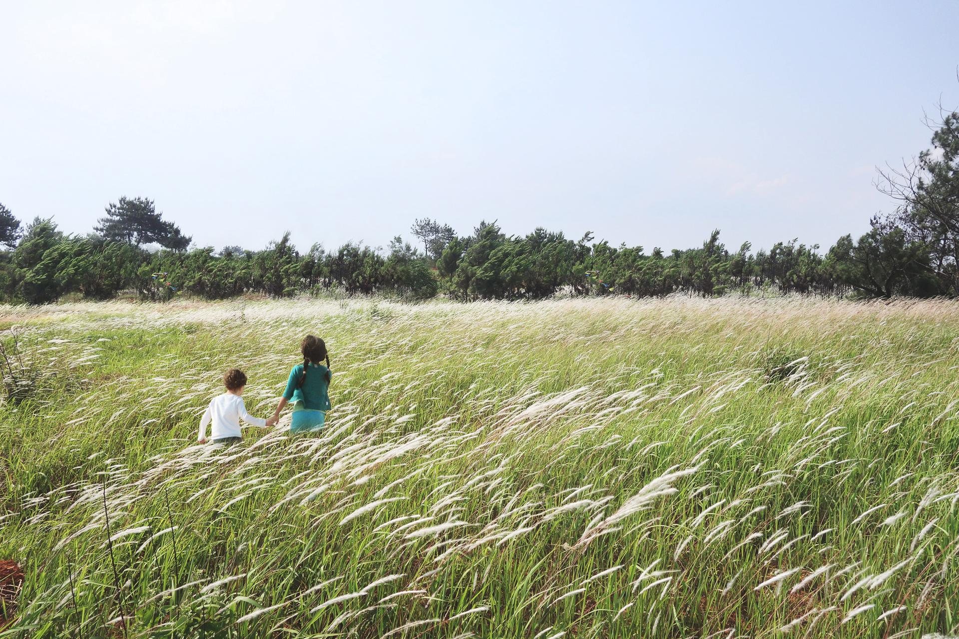 Nanchang Red Earth Park - image 9