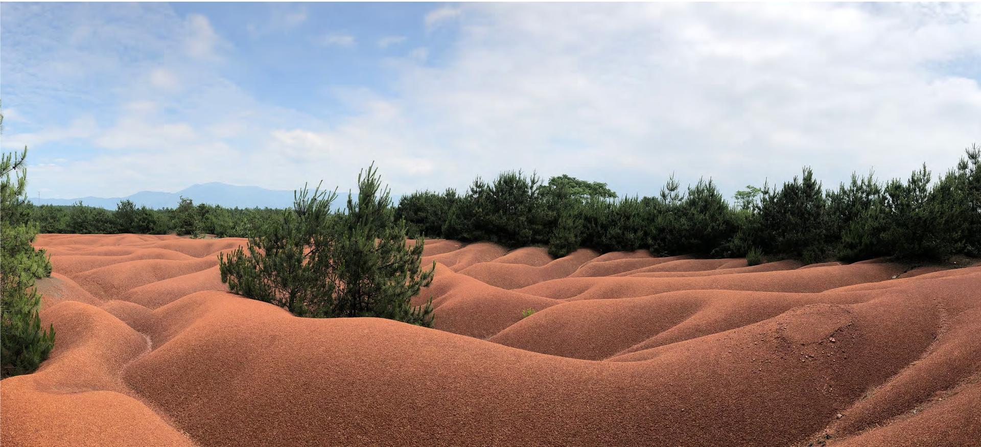 Nanchang Red Earth Park - image 4