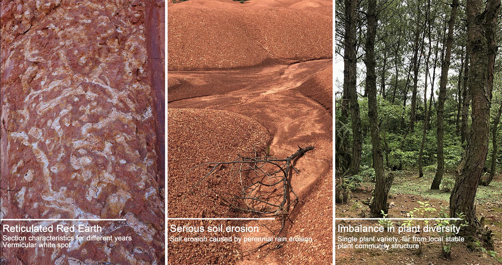 Nanchang Red Earth Park - image 15