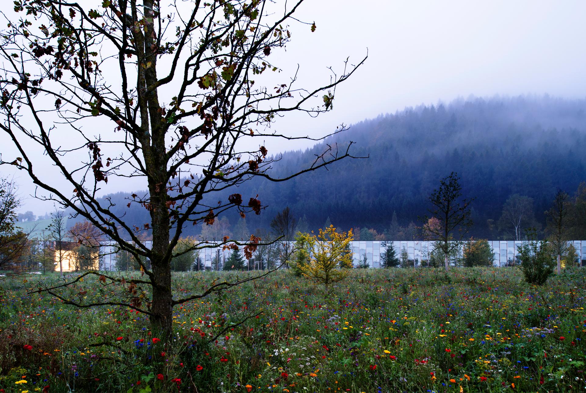 GRUENE ERDE Breathing Headquarters - A Plant-Based Systems Design - image 3