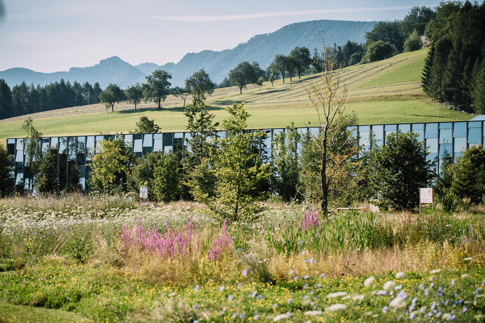GRUENE ERDE Breathing Headquarters - A Plant-Based Systems Design