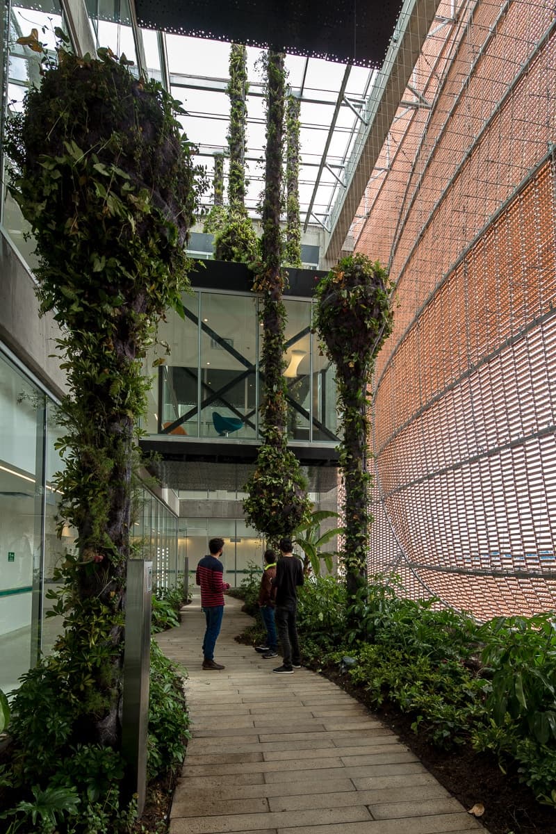 Expansion of Santa Fe de Bogotá Foundation - image 7