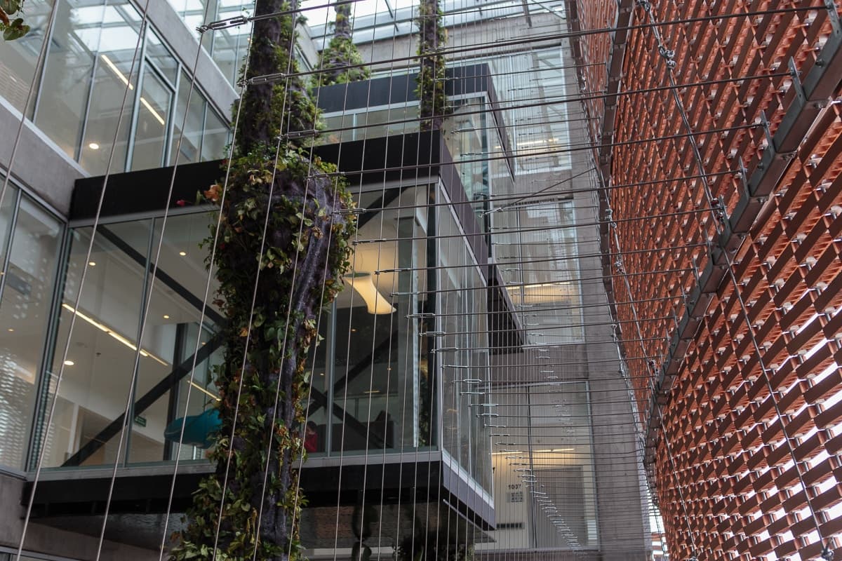 Expansion of Santa Fe de Bogotá Foundation - image 11