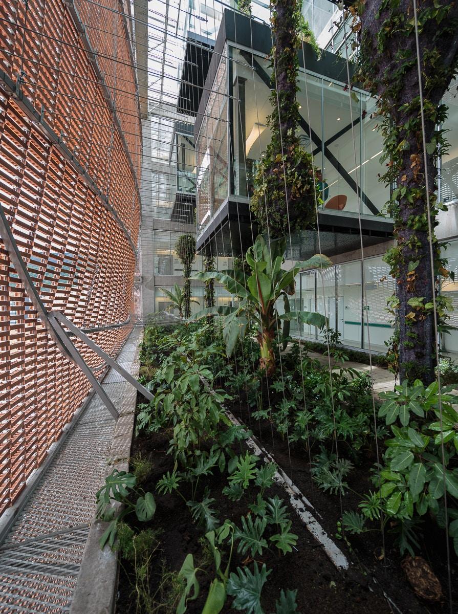 Expansion of Santa Fe de Bogotá Foundation - image 22