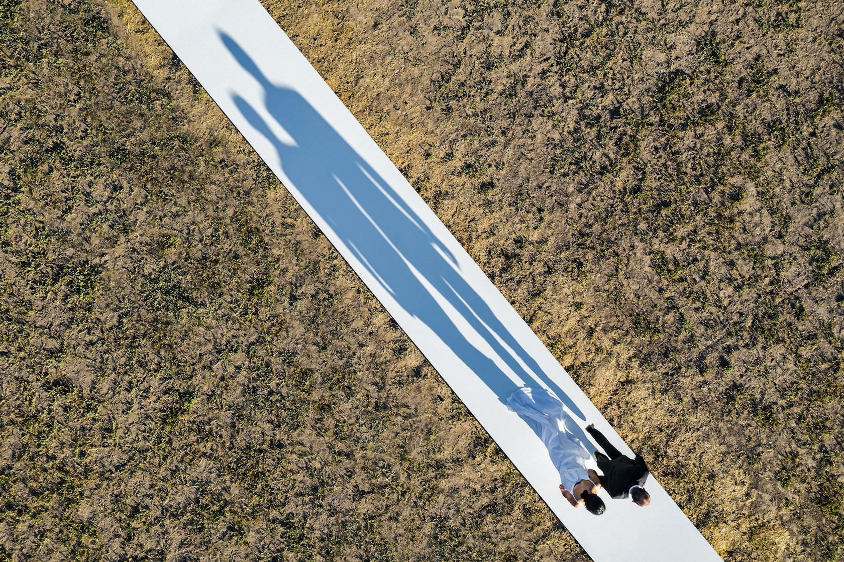 The Line - image 8