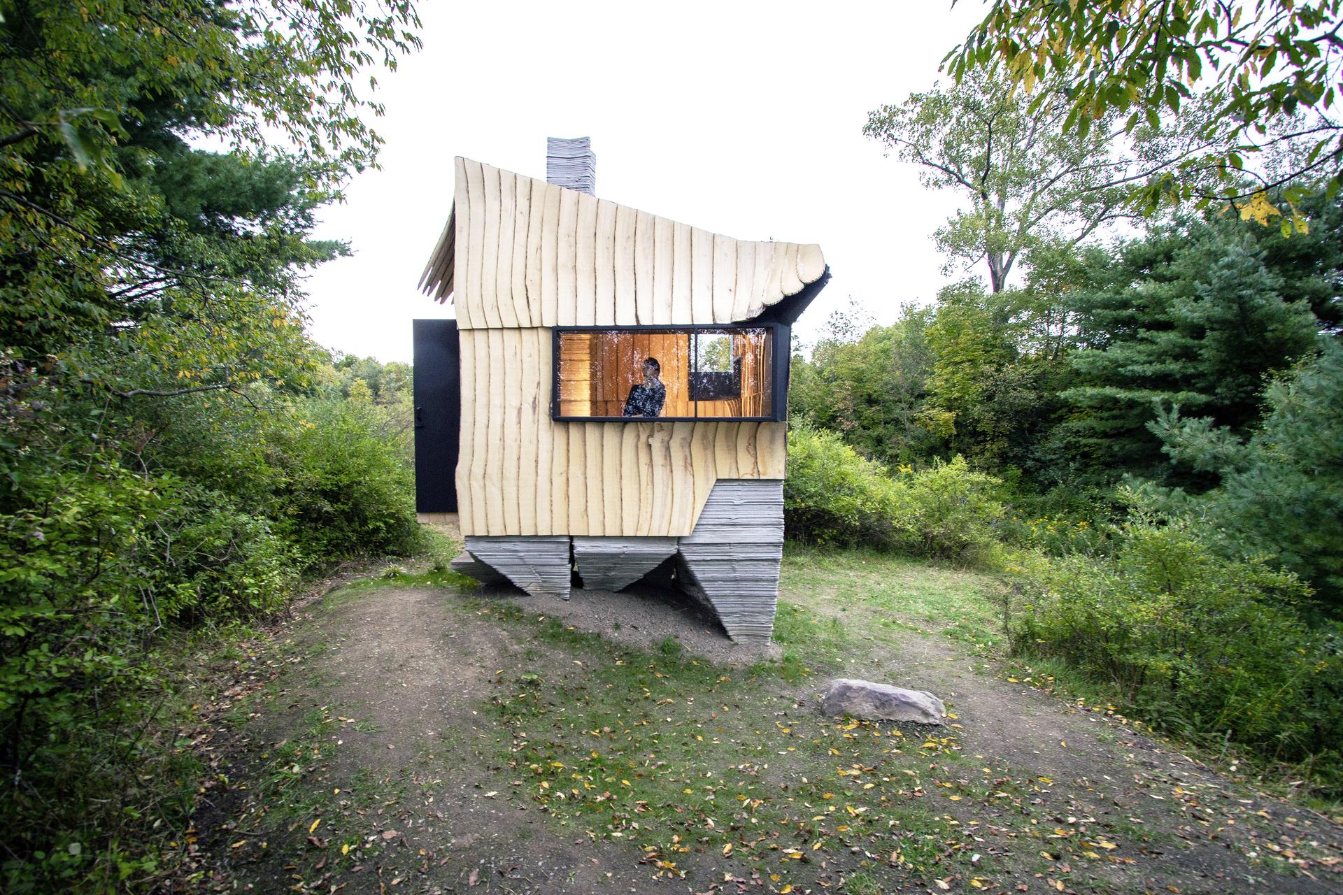 Ashen Cabin - image 2
