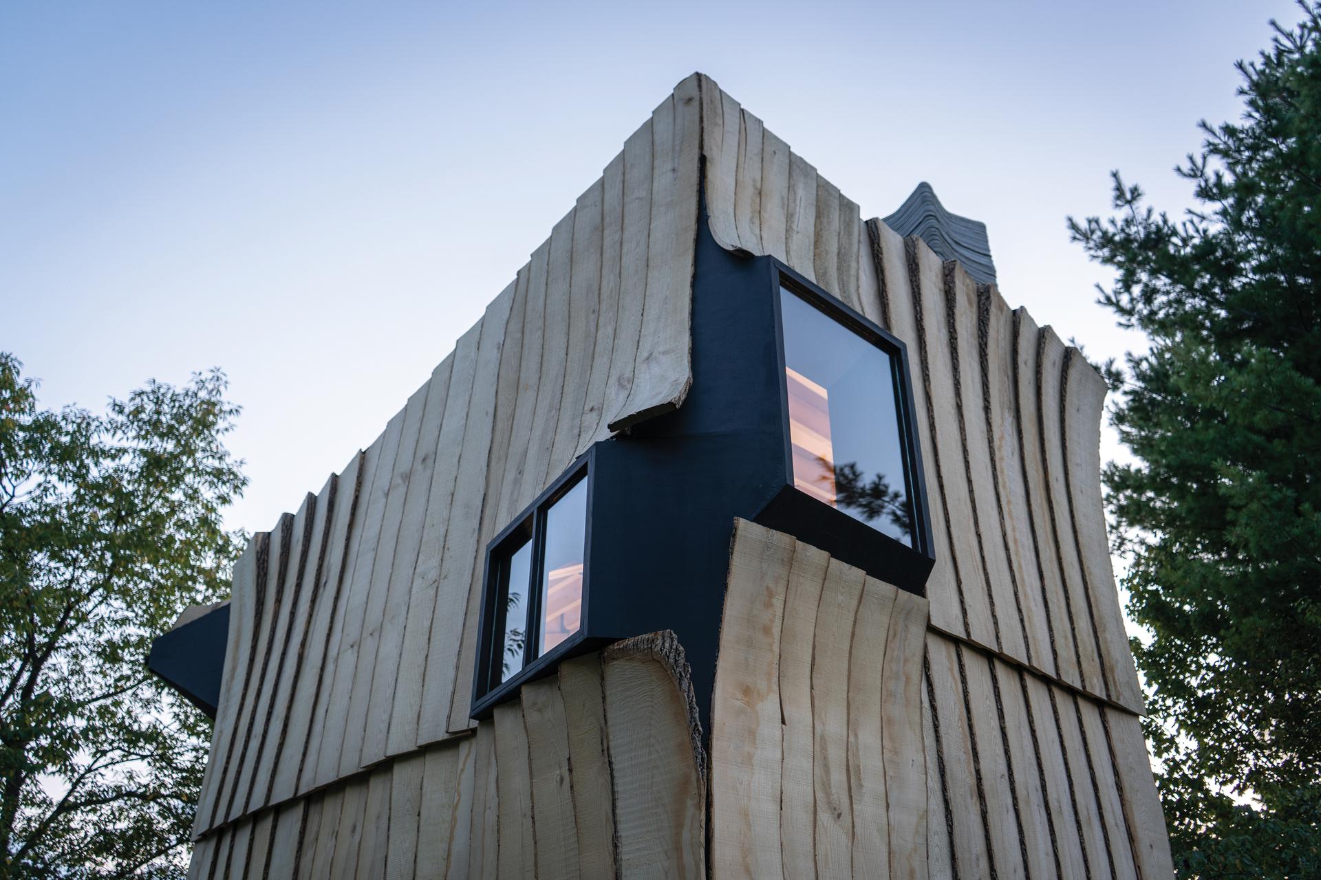 Ashen Cabin - image 10