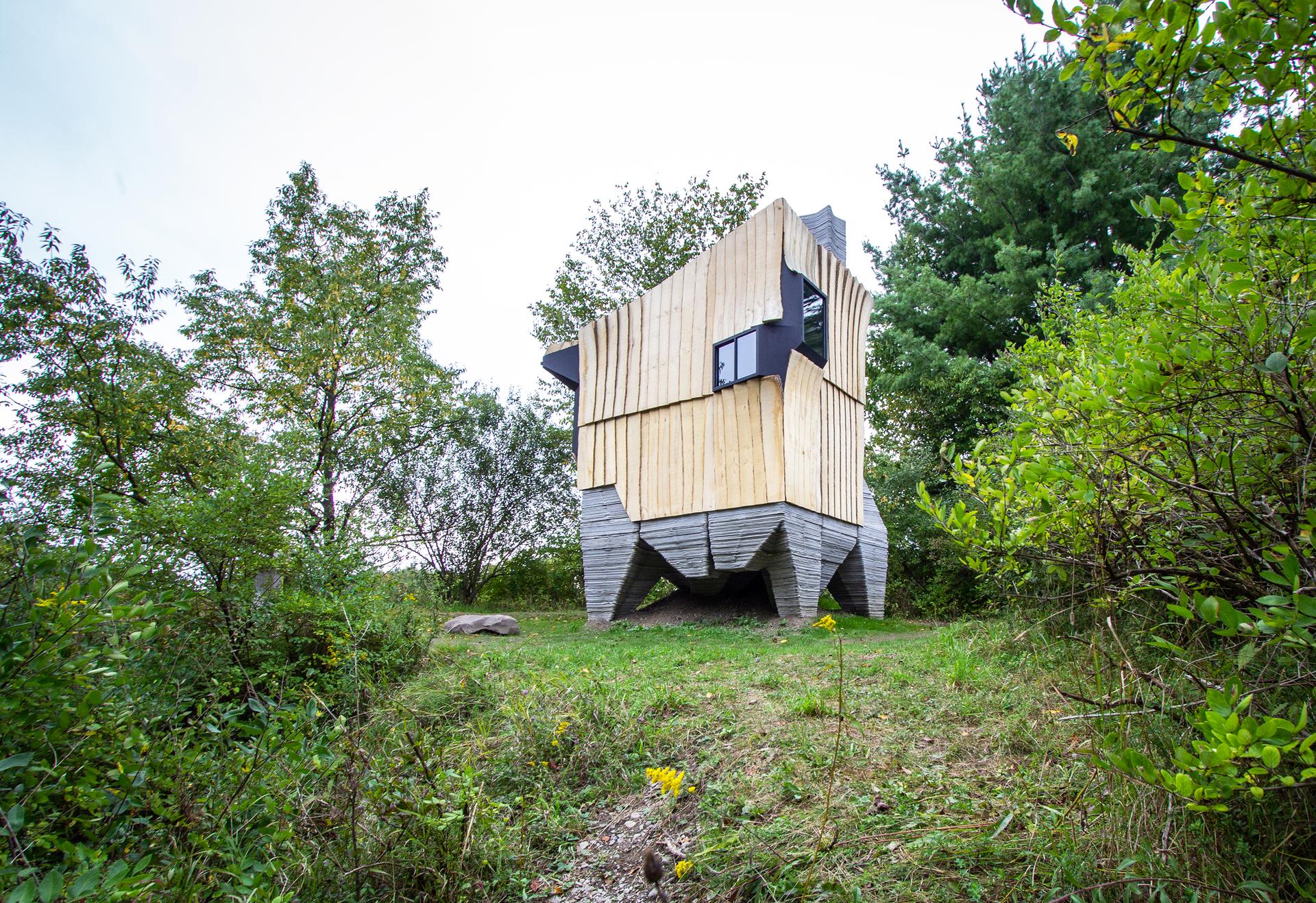 Ashen Cabin