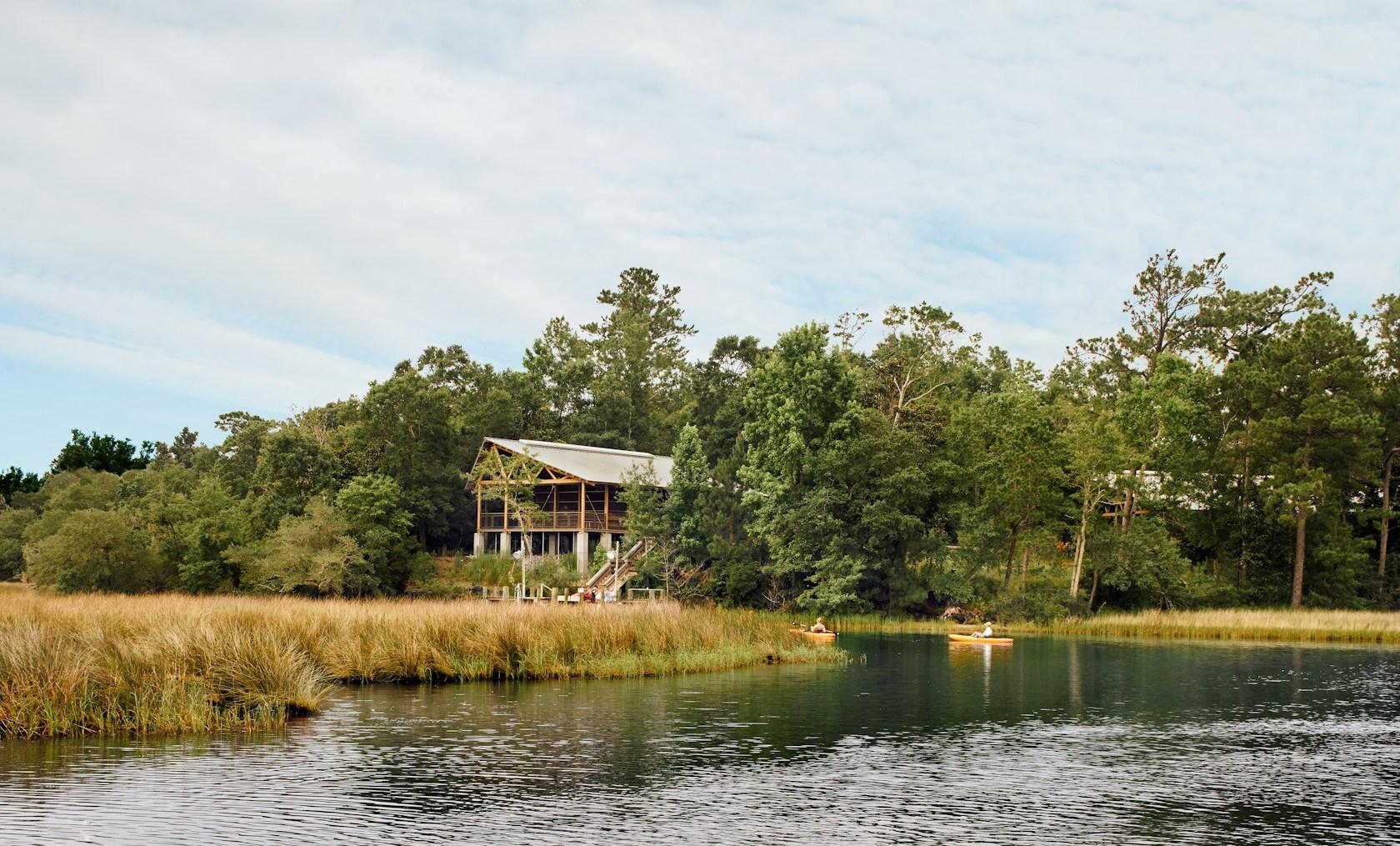 Marine Education Center at the Gulf Coast Research Laboratory - image 13