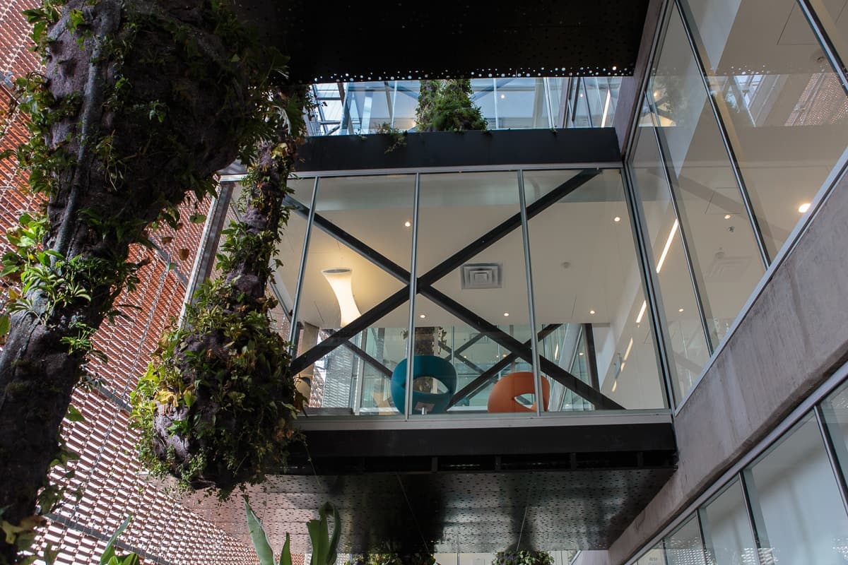 Expansion of Santa Fe de Bogotá Foundation - image 40