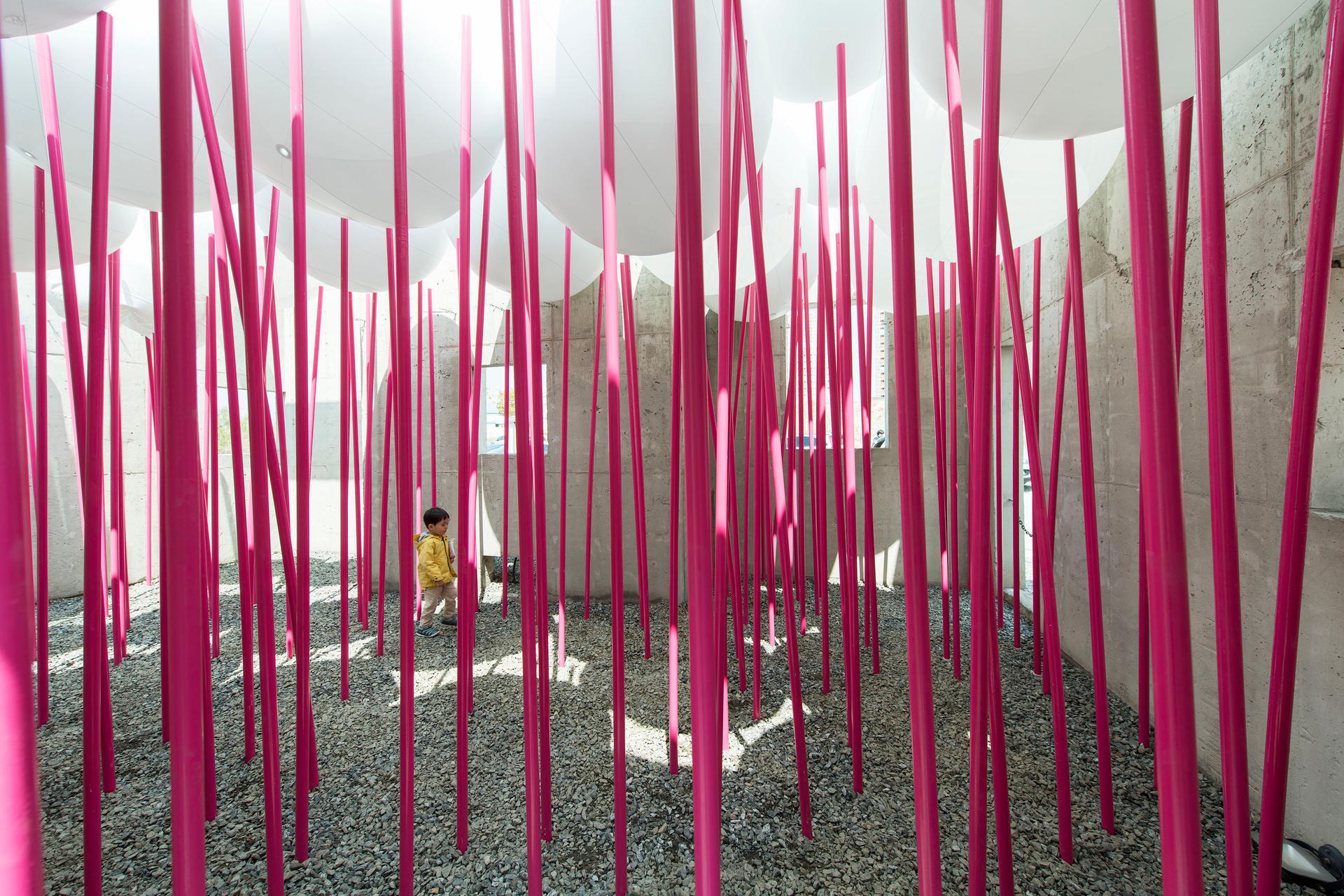 Cloud Forests; Pavilion for Children’s Play - image 31