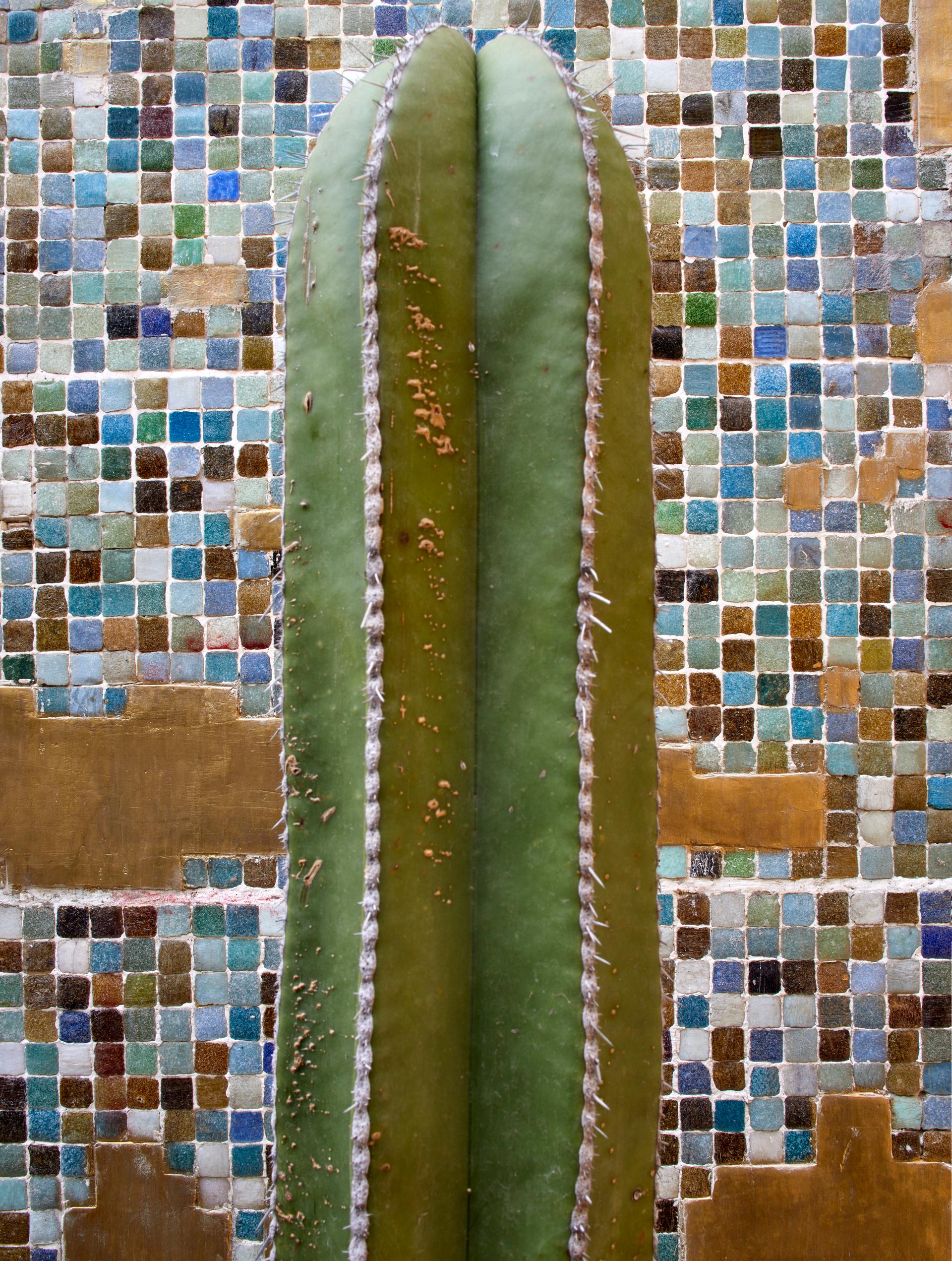 CORDOBA 223 - image 2