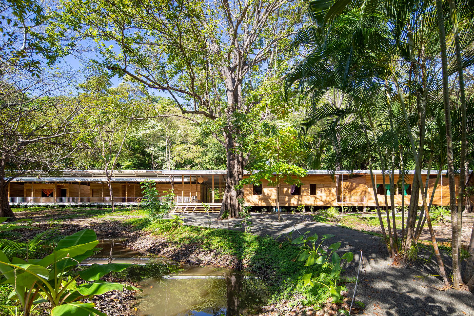 Waldorf School Casa de las Estrellas - image 6