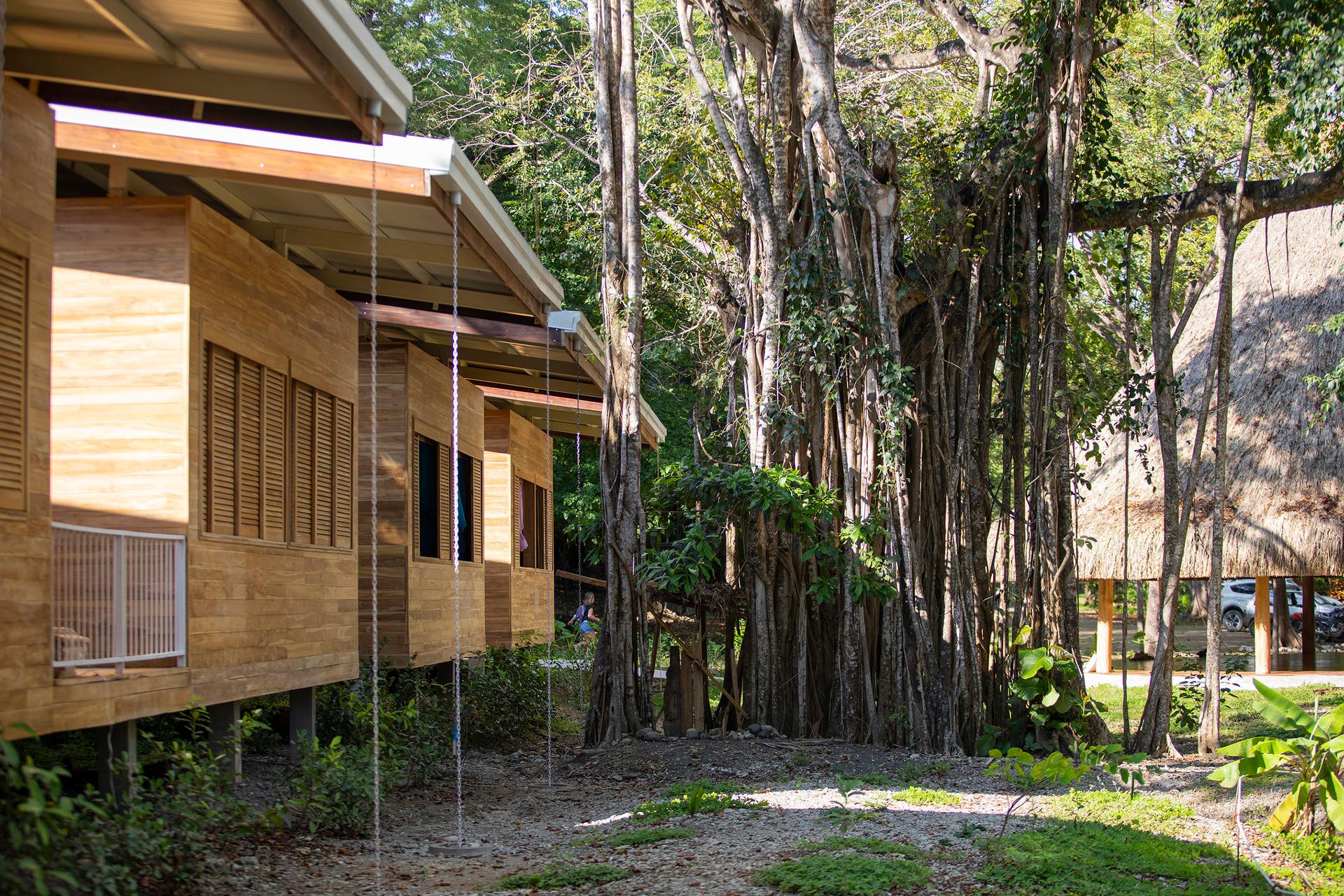 Waldorf School Casa de las Estrellas - image 12