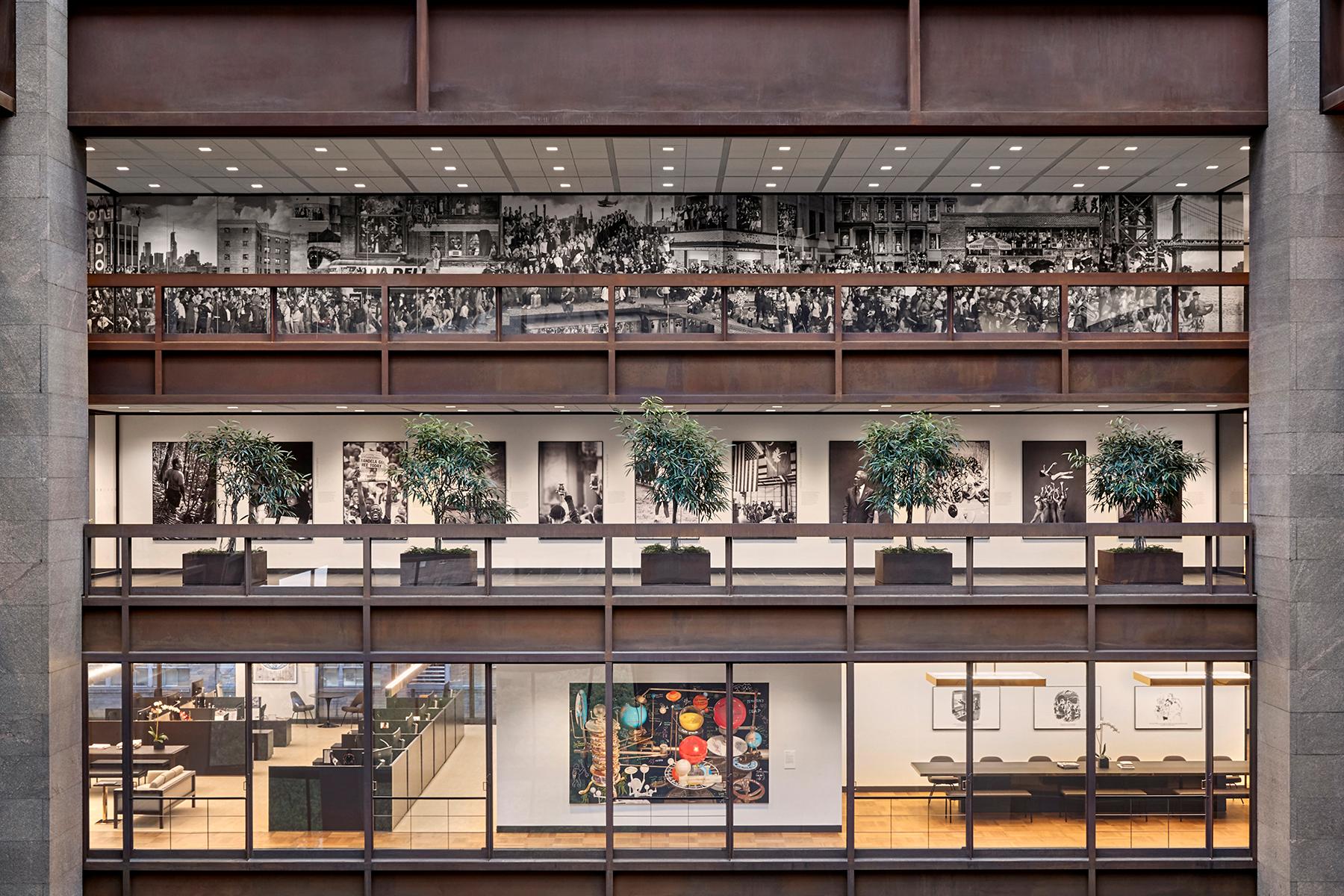 Ford Foundation Center for Social Justice - image 5