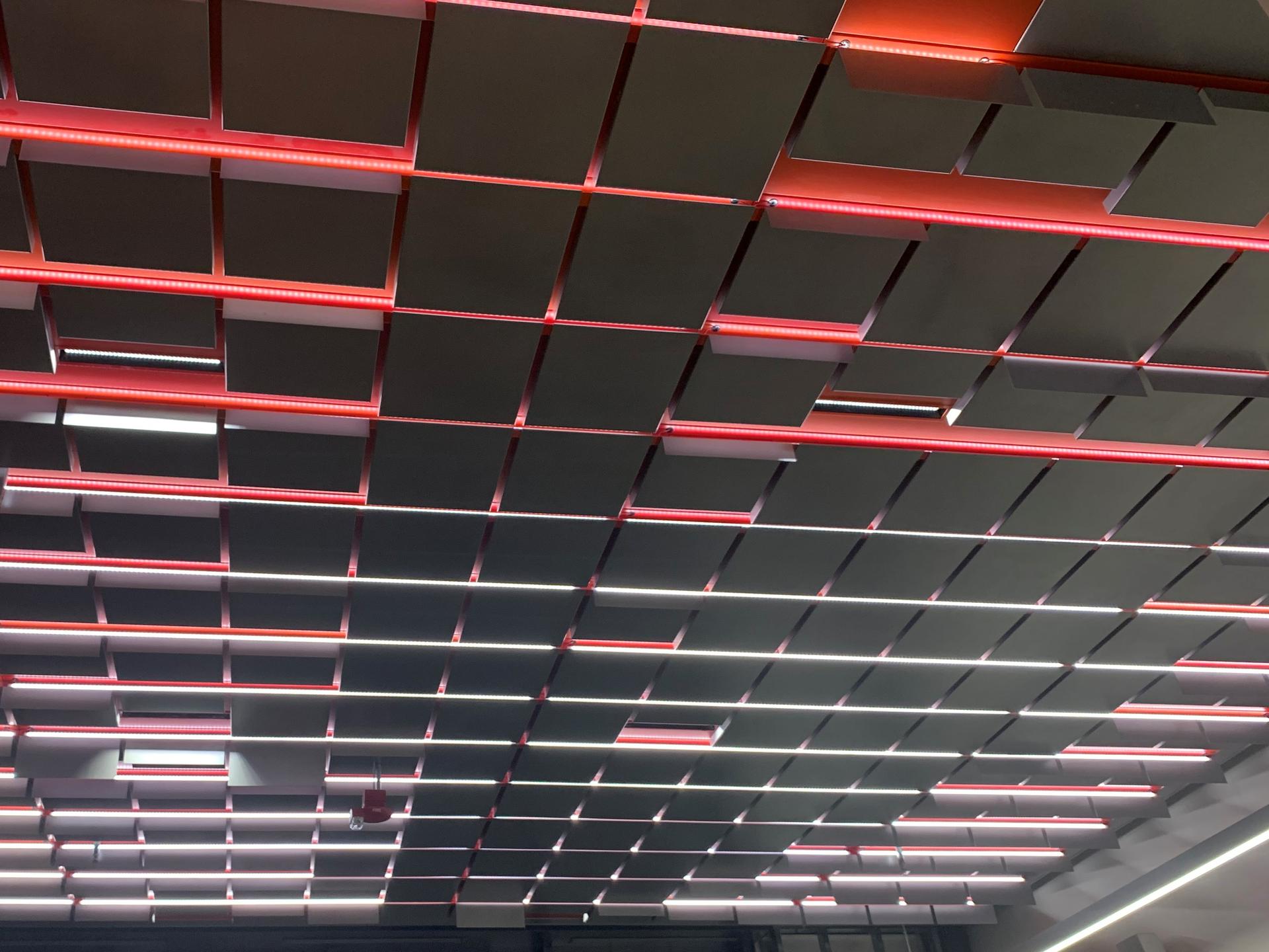 Pixel Swarm Custom Feature Ceiling - image 5