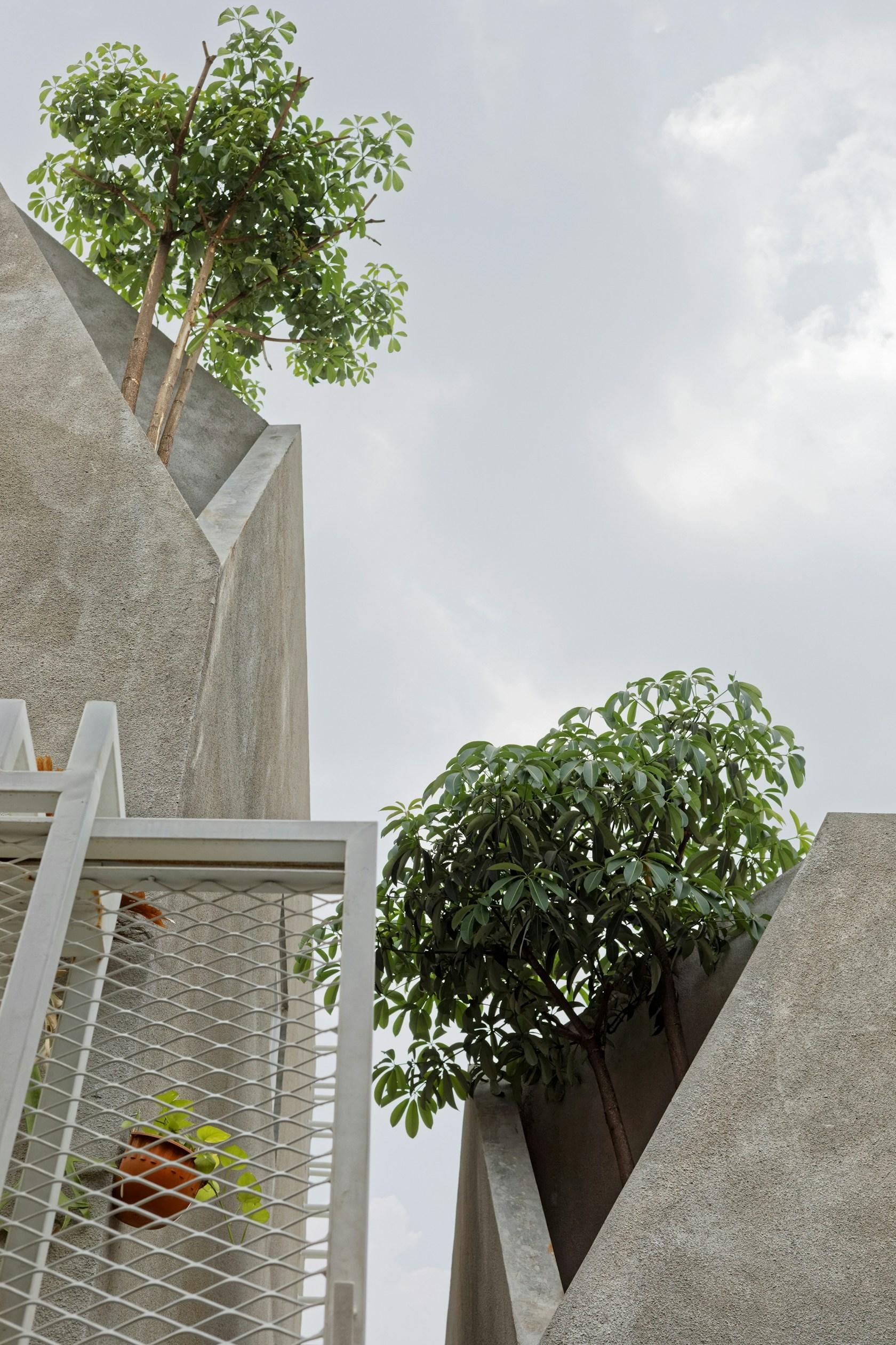 The Twins House - image 6