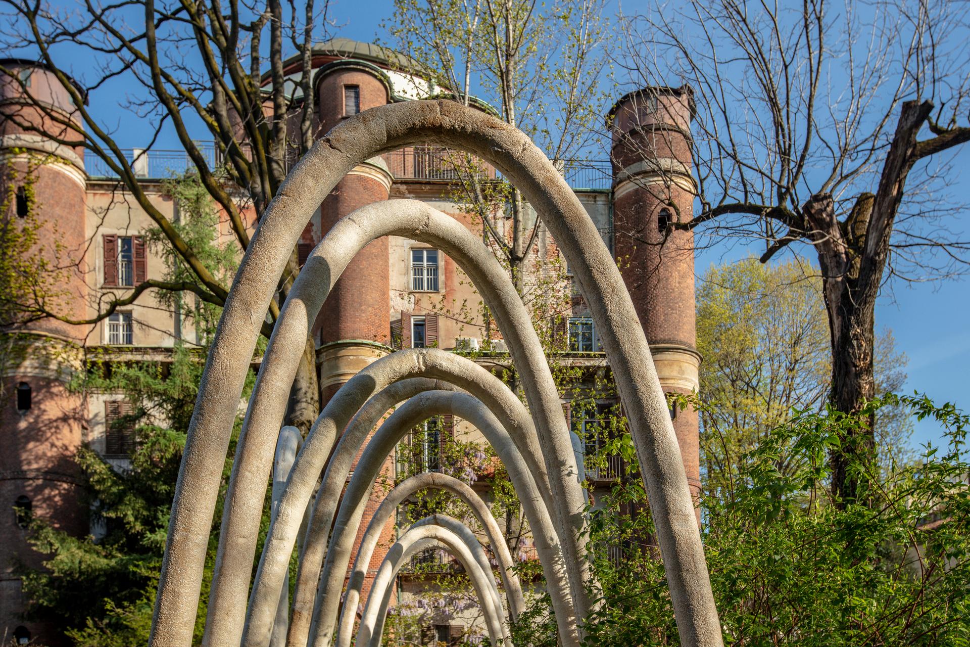 The Circular Garden - image 4