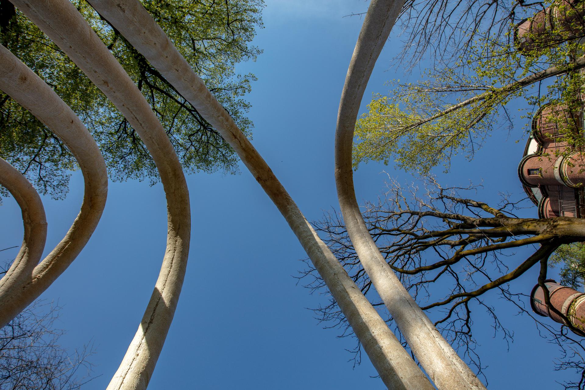 The Circular Garden - image 3