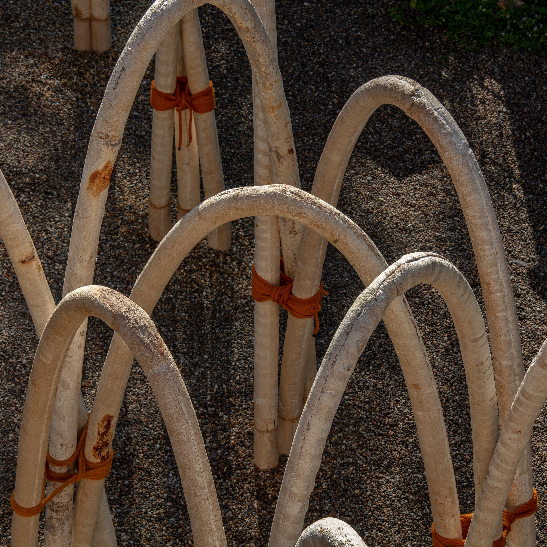 The Circular Garden - image 5
