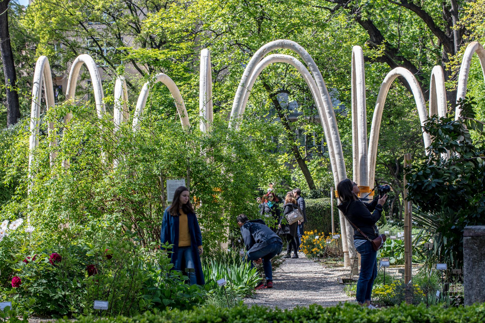The Circular Garden - image 7