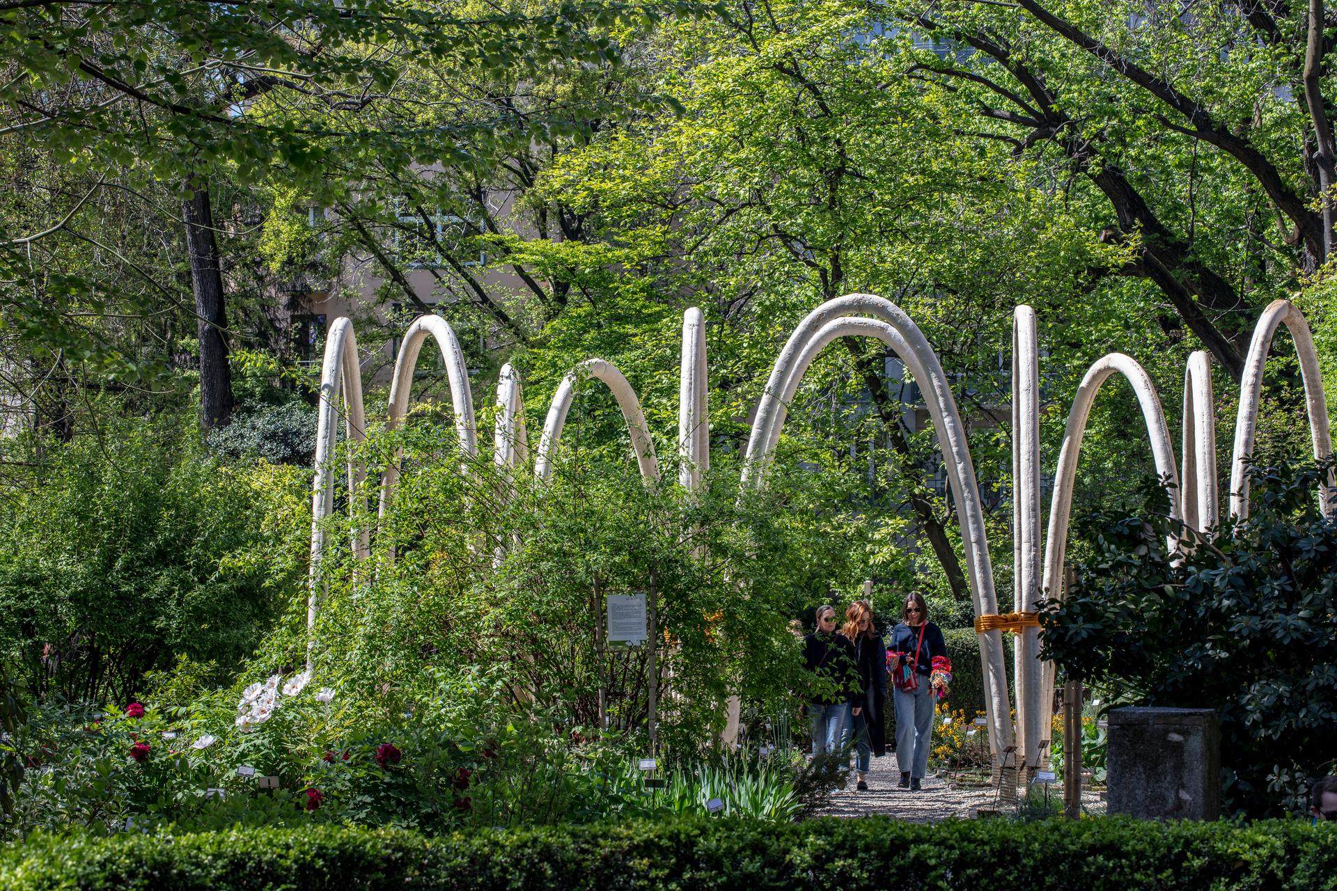 The Circular Garden - image 8