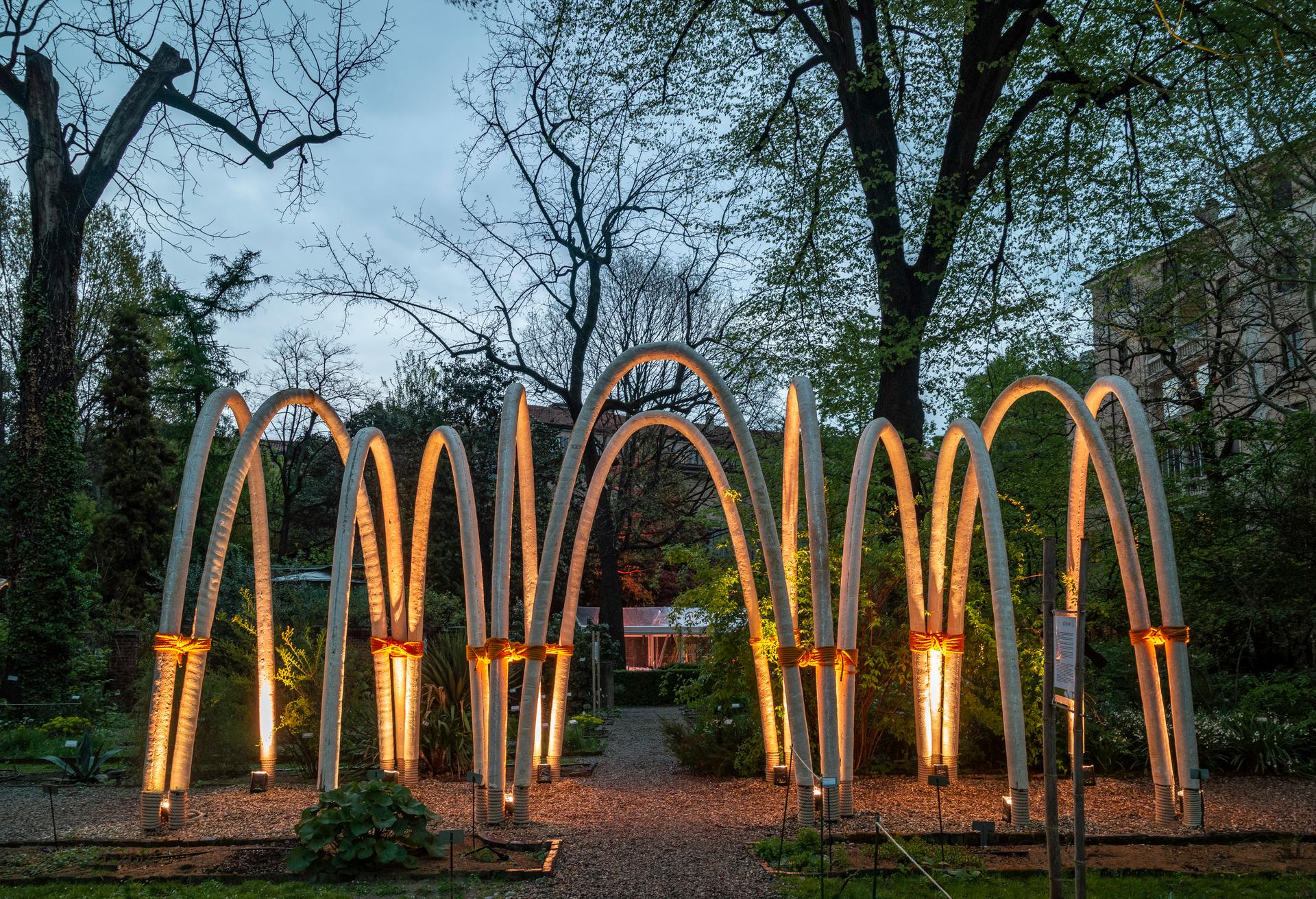 The Circular Garden - image 9