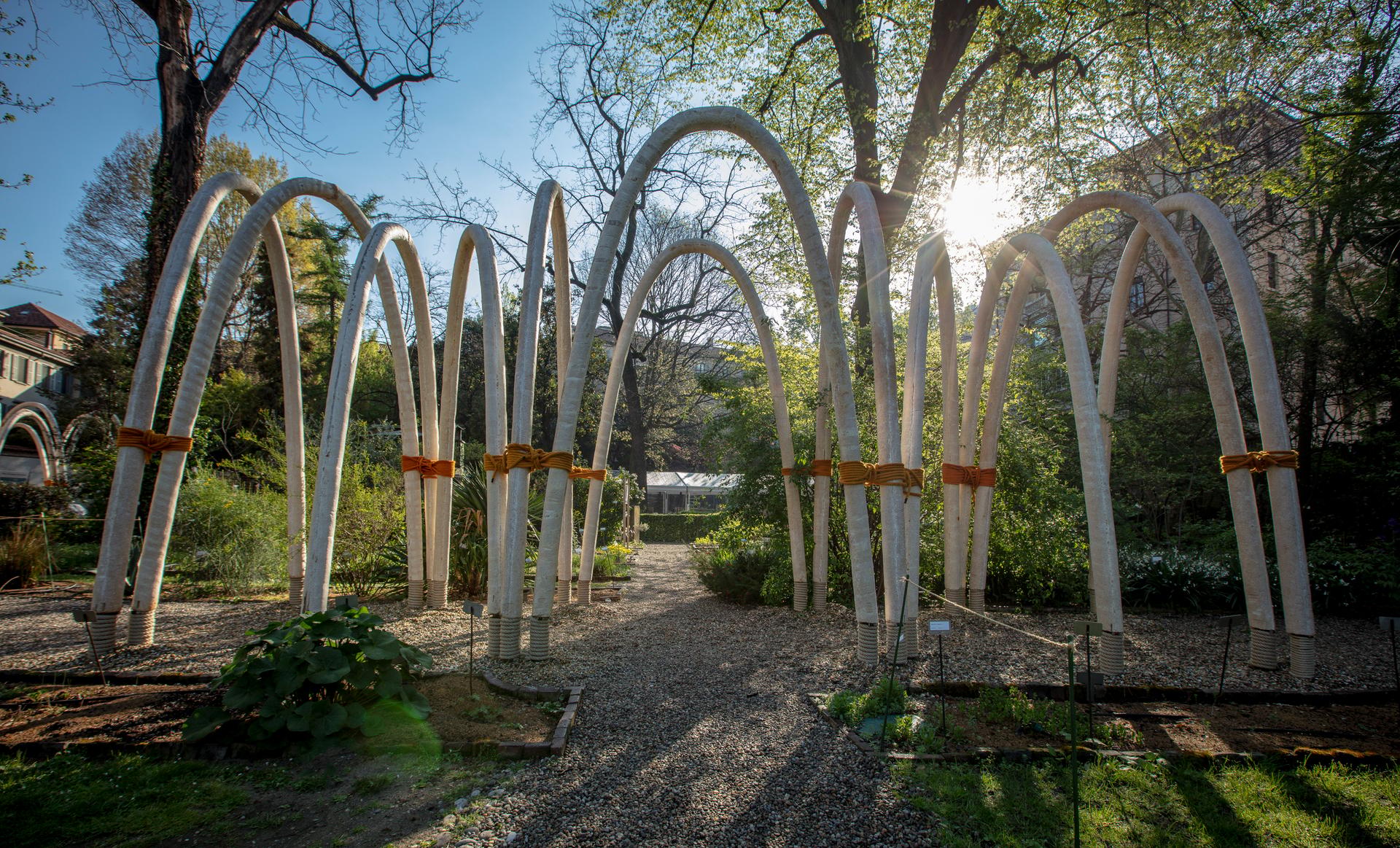 The Circular Garden