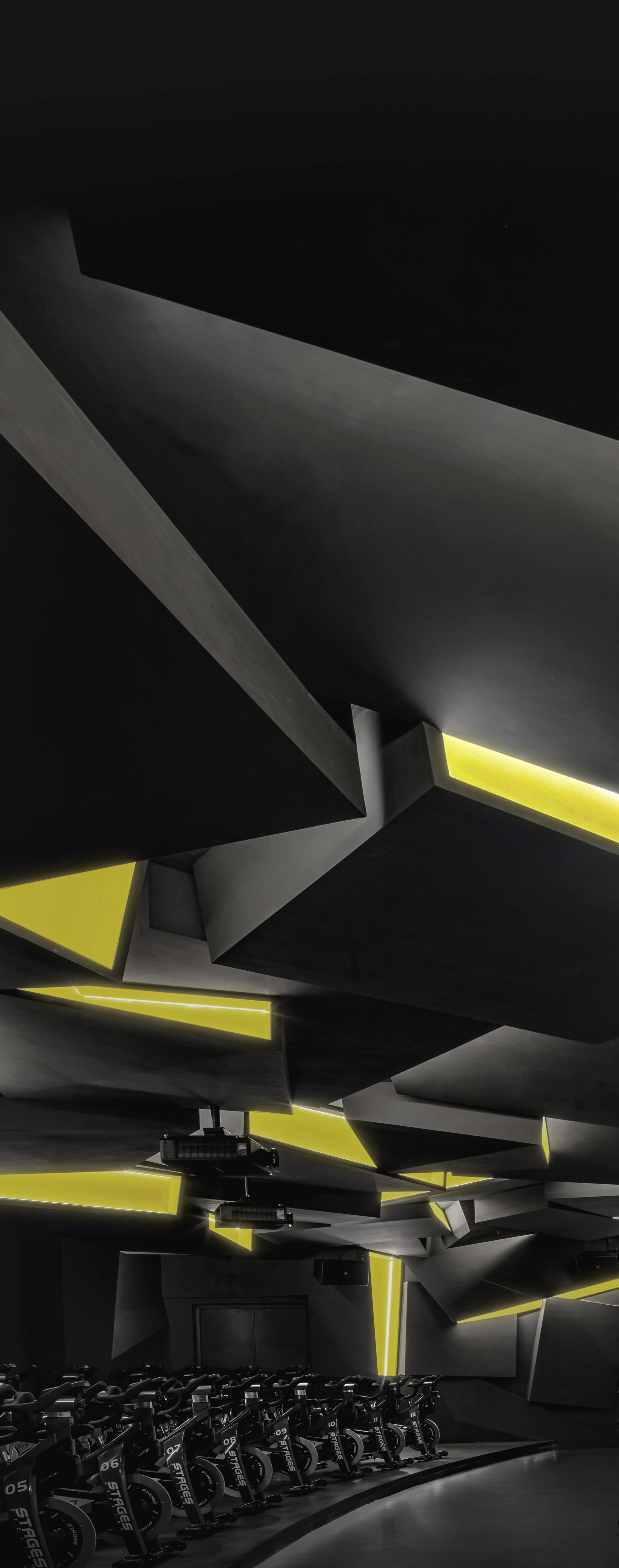 Fusion Fitness q-plex Premium Club - image 9
