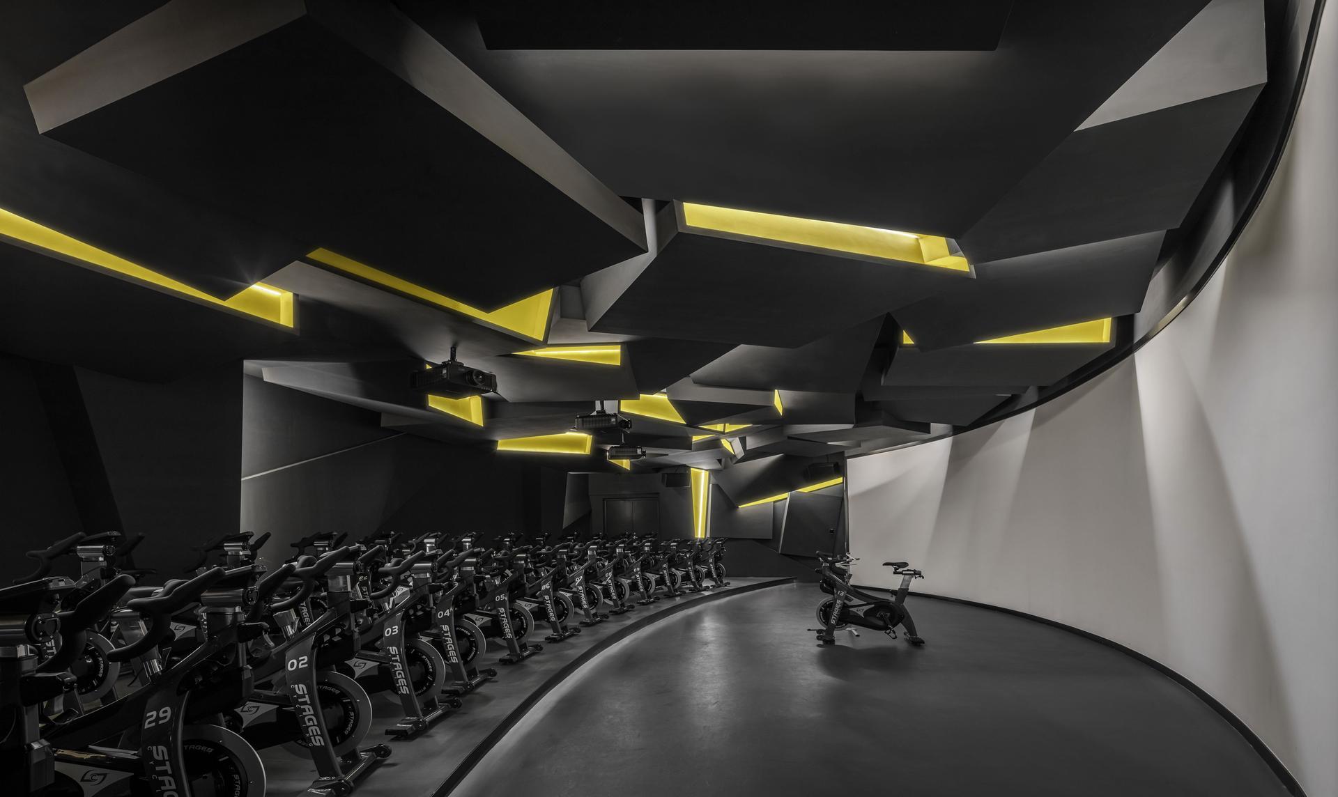 Fusion Fitness q-plex Premium Club - image 2