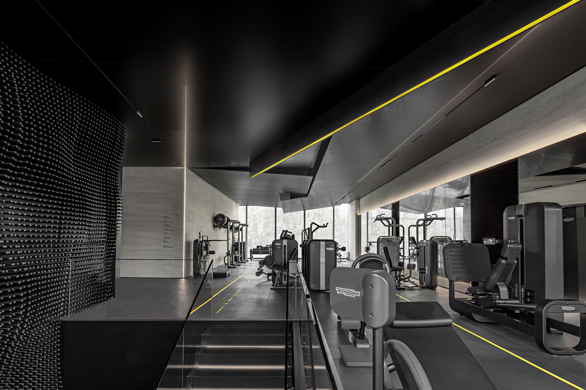 Fusion Fitness q-plex Premium Club - image 10