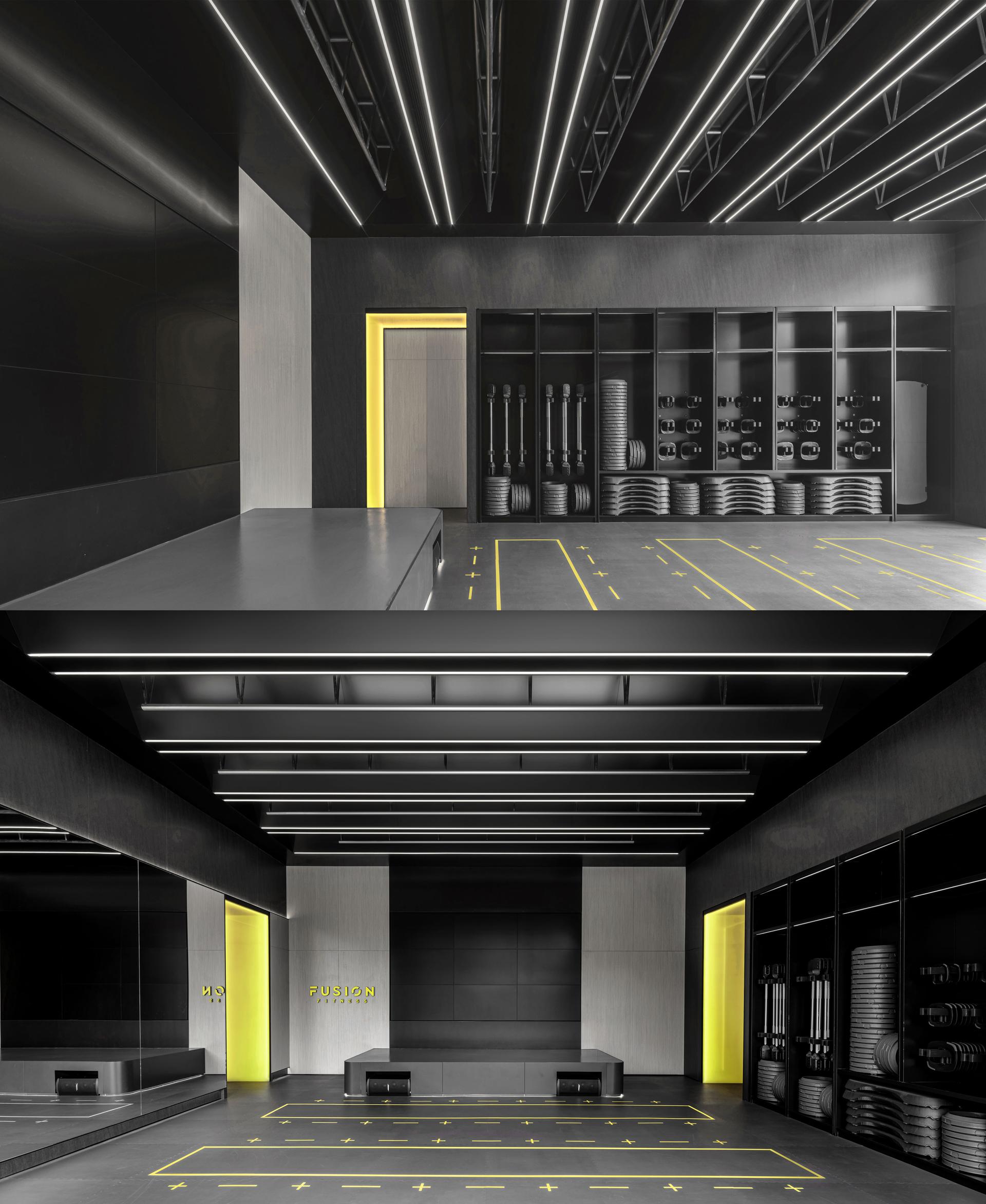 Fusion Fitness q-plex Premium Club - image 11
