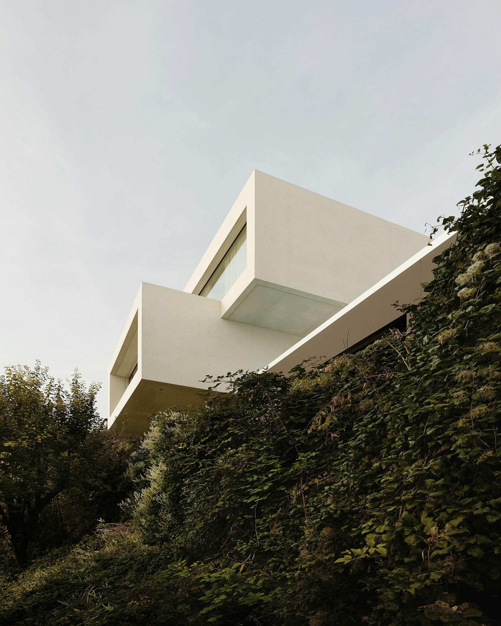Casa Mi - image 5