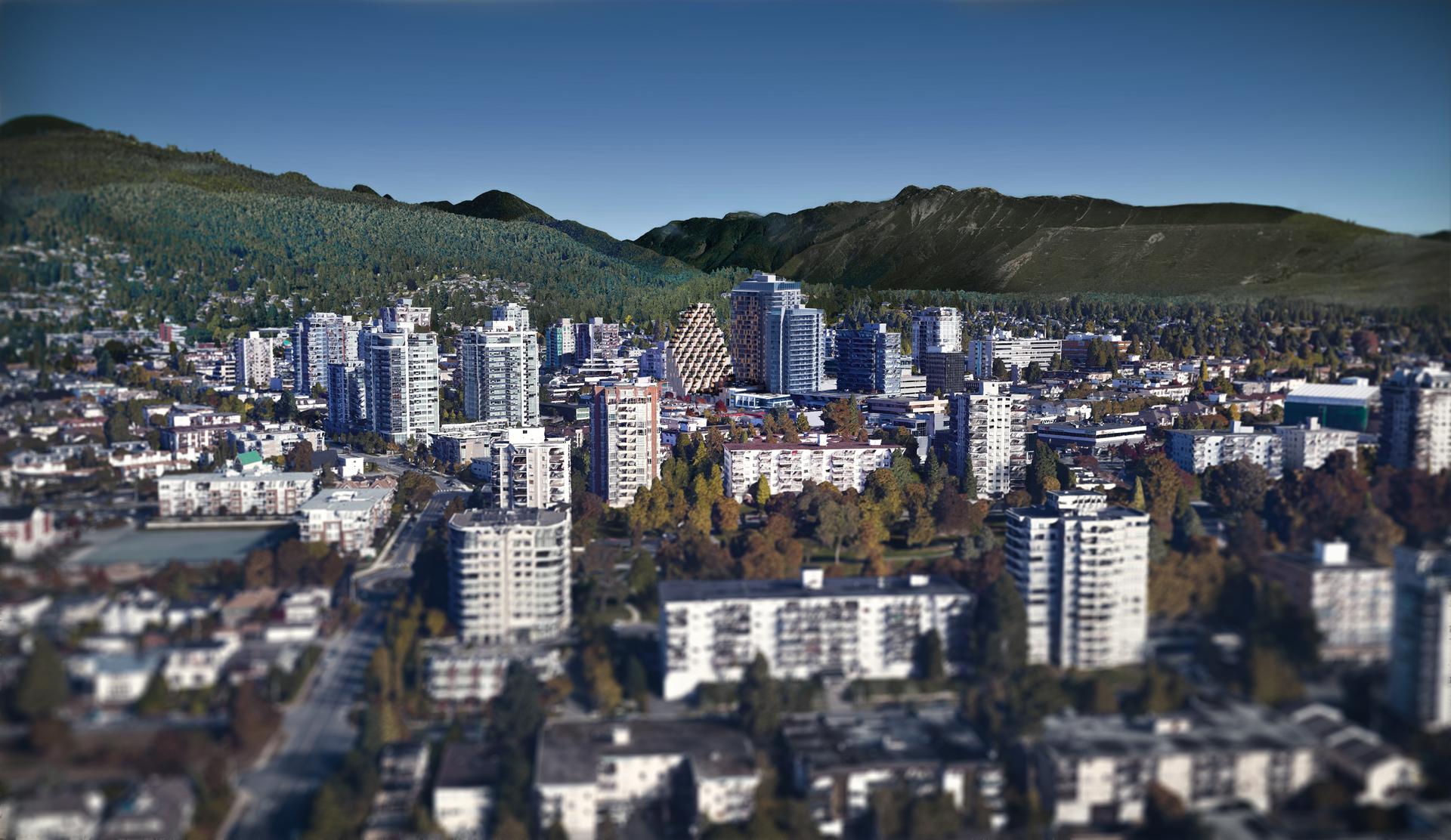 Forest Hill - image 3