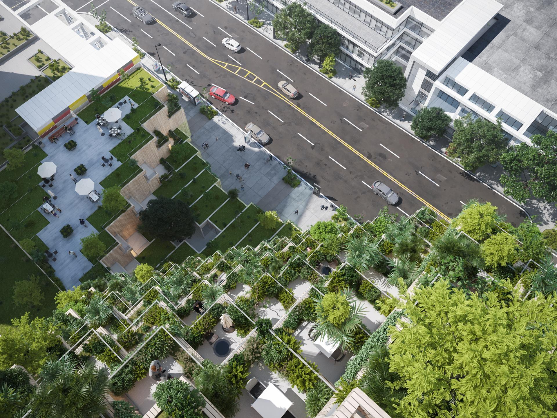 Forest Hill - image 6