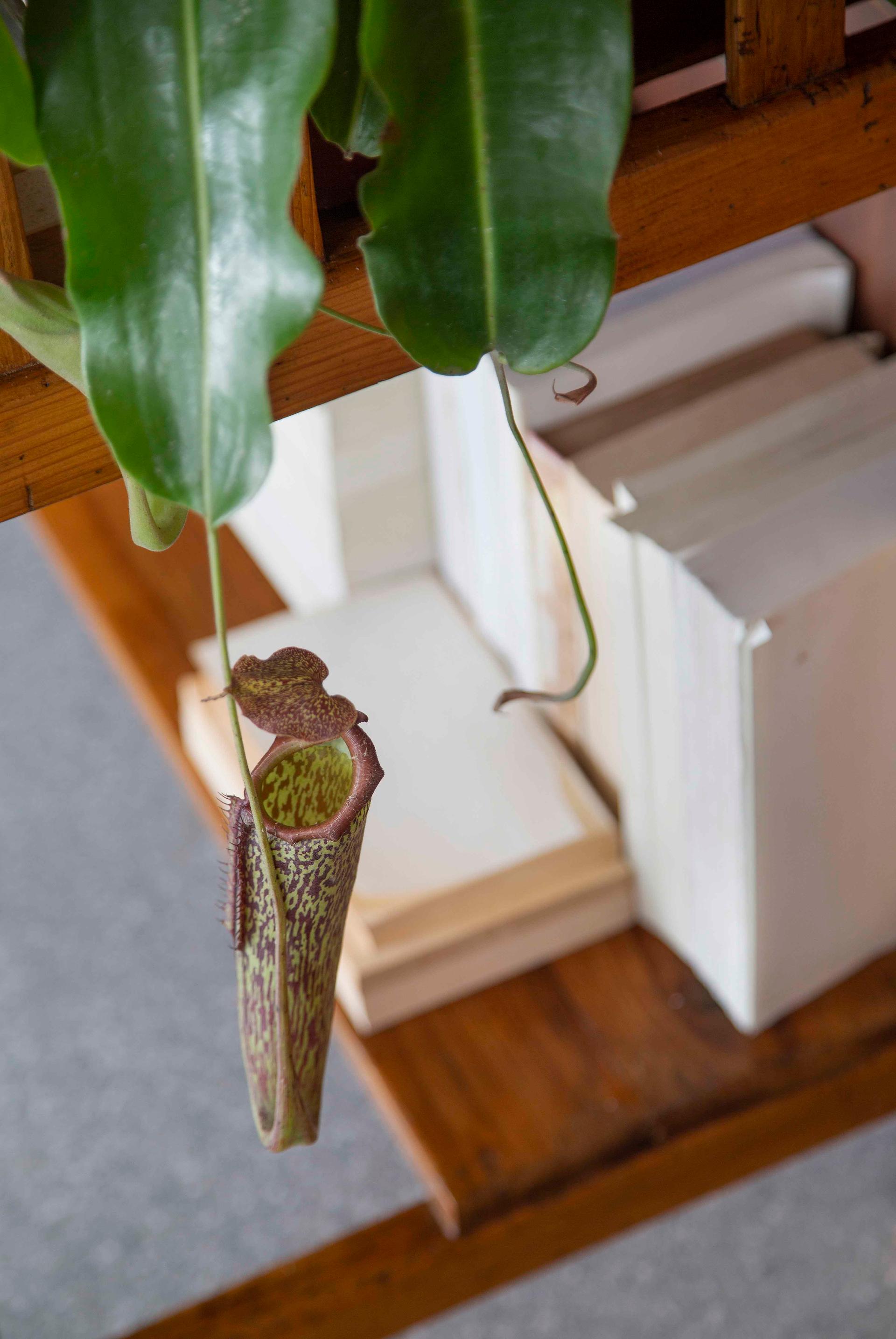 DN Apartment - image 13