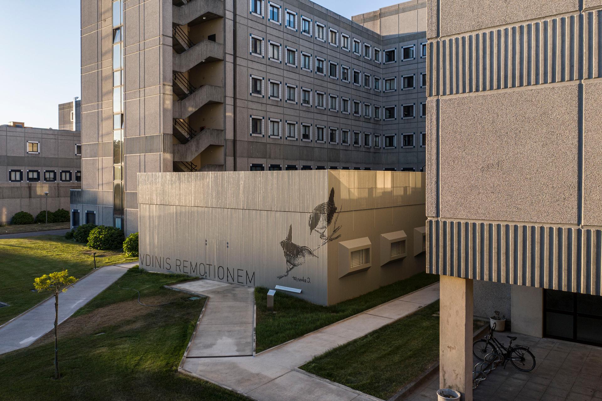 Intensive Care Unit-Pedro Hispano Hospital - image 2