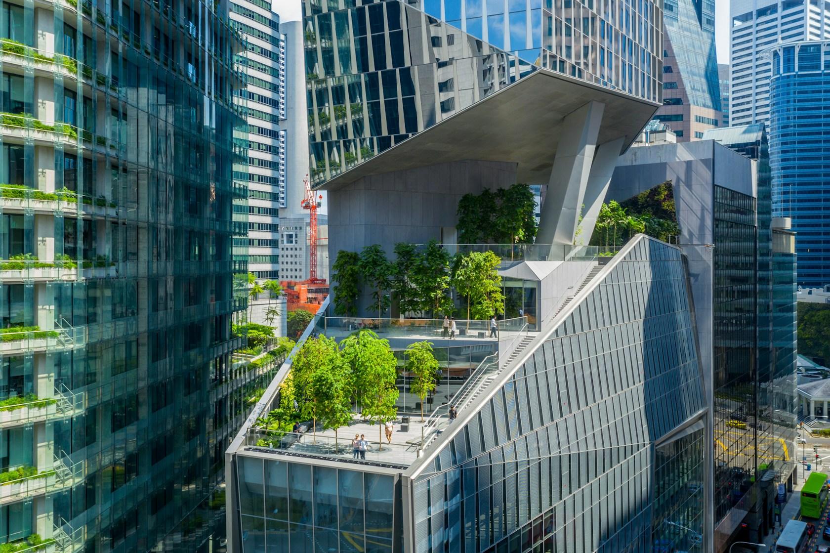 18 Robinson - image 4