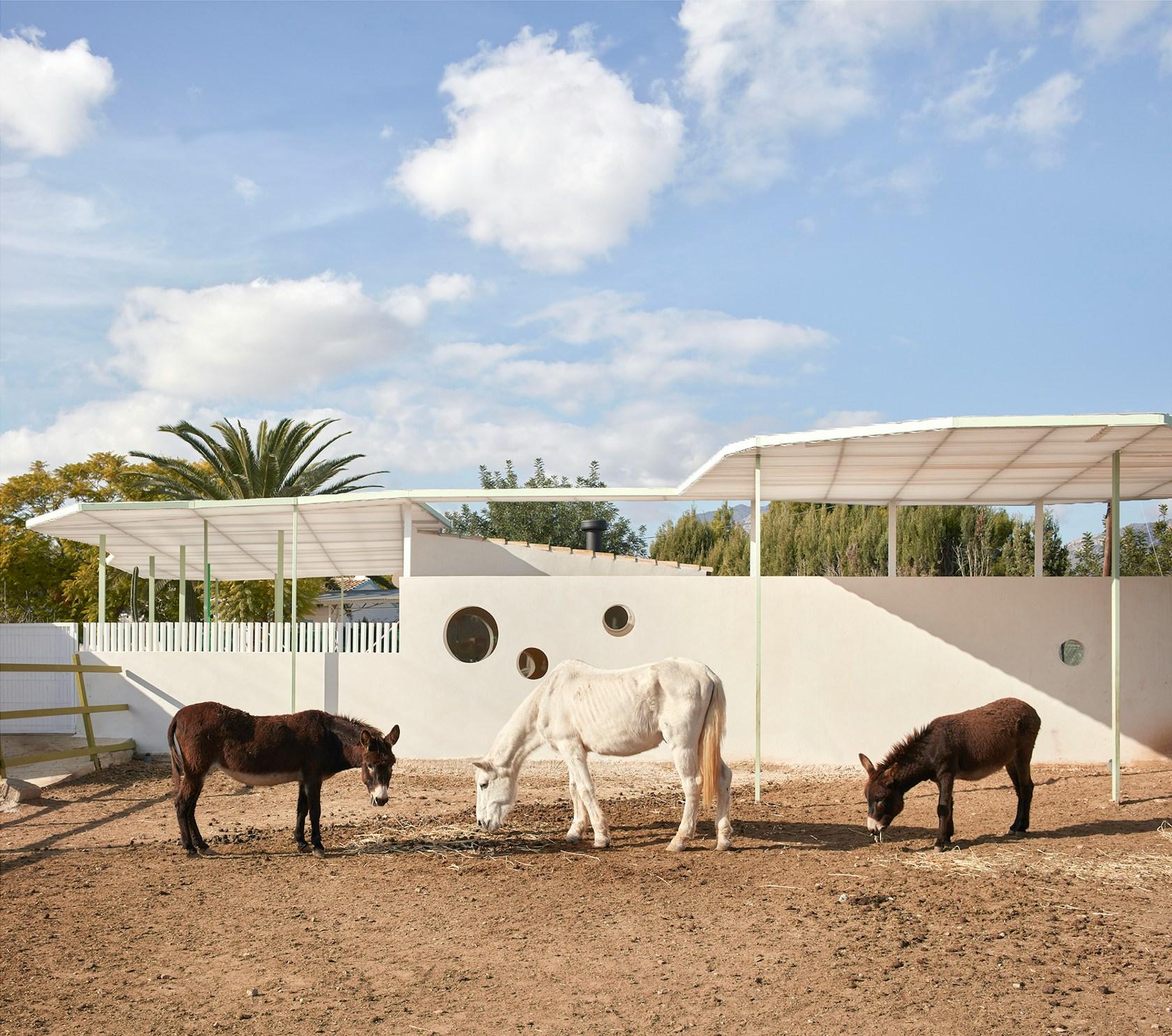 Shelter for a photographer "las cuadras" - image 9