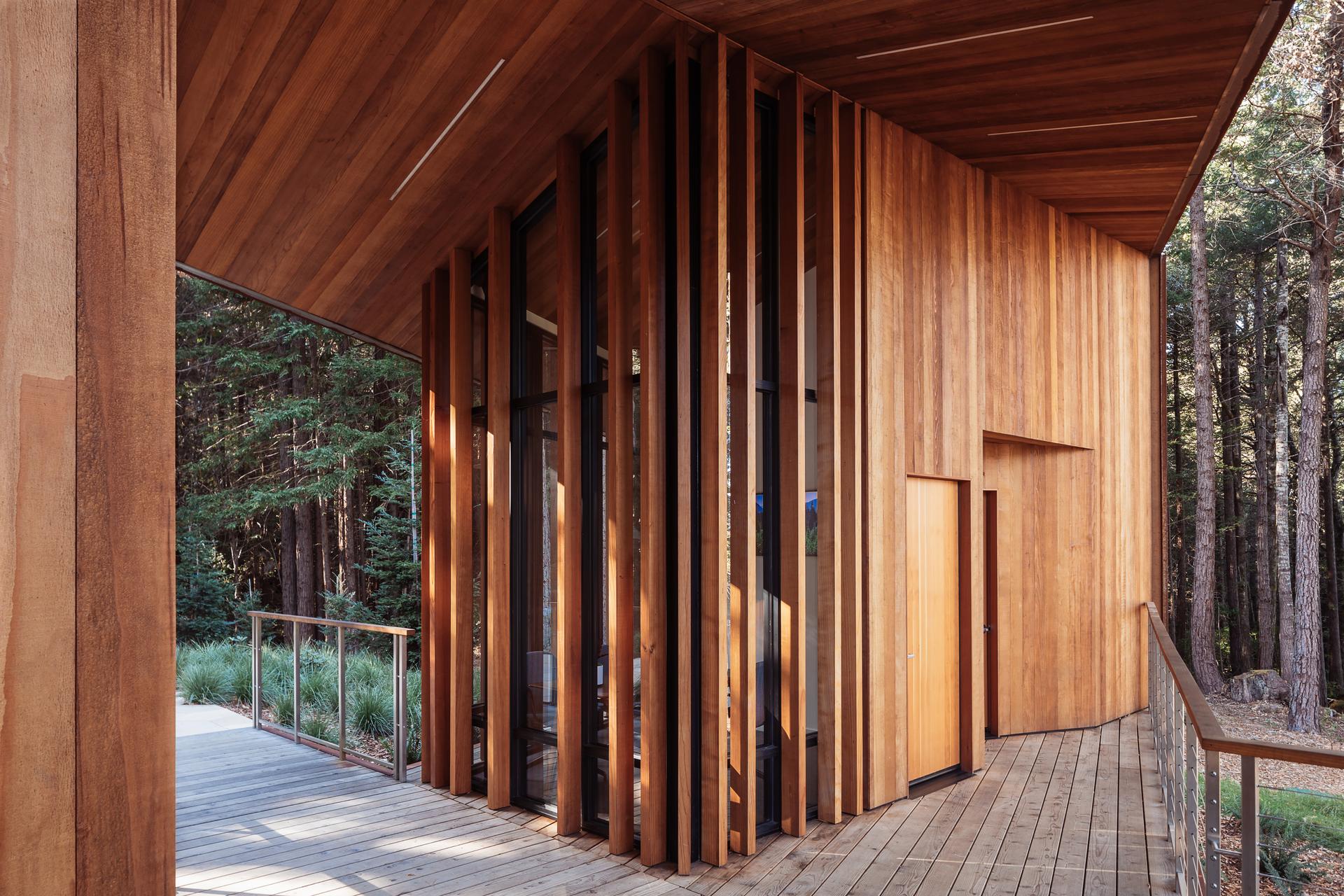 Better Place Forests - image 4
