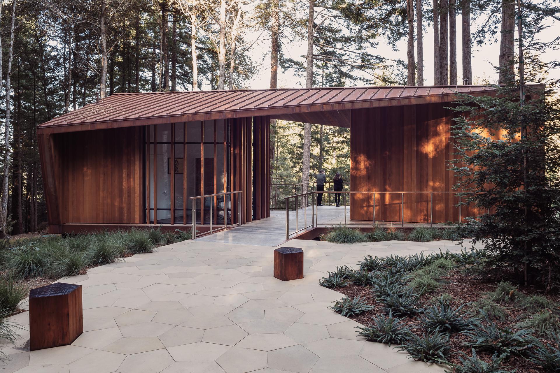 Better Place Forests - image 2