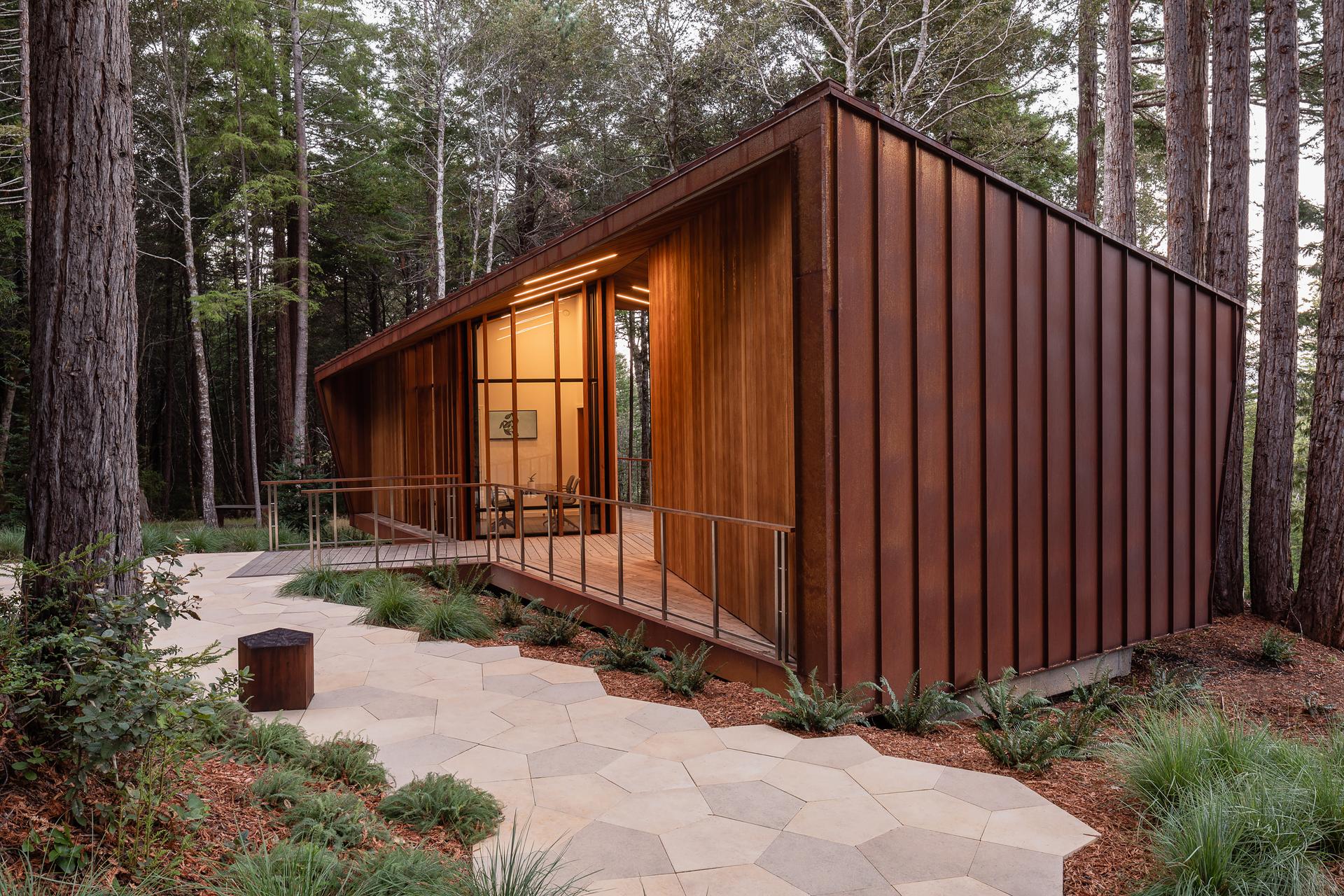 Better Place Forests - image 5