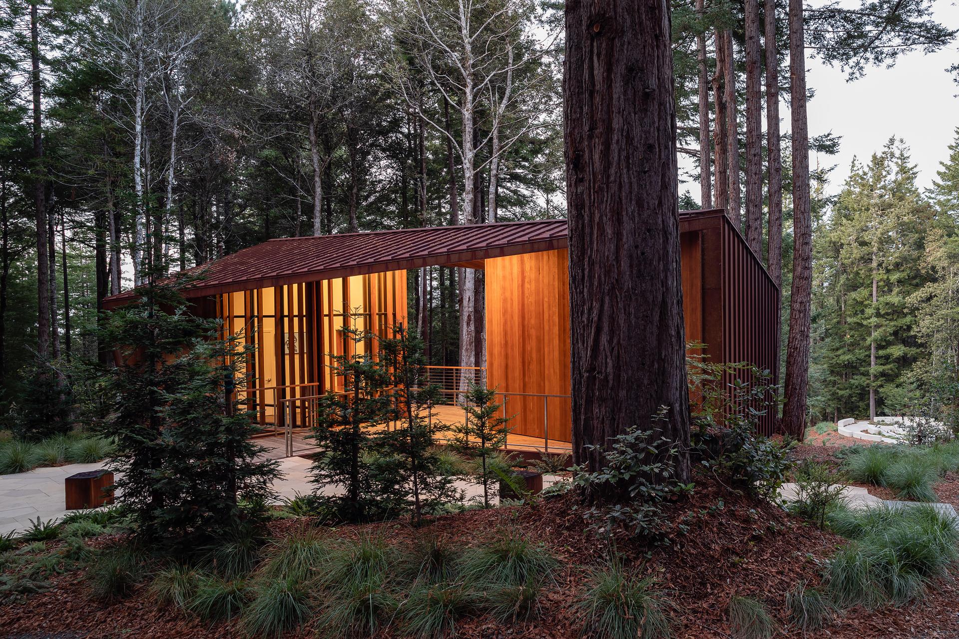 Better Place Forests - image 6