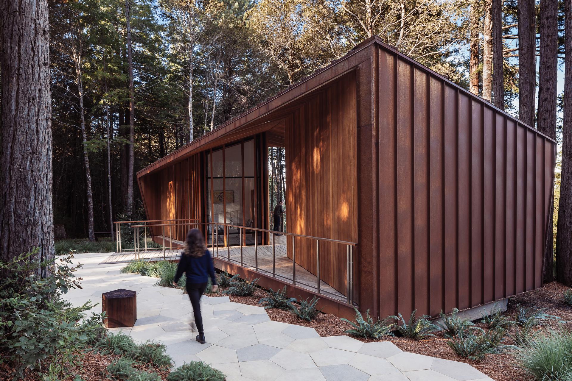 Better Place Forests - image 8