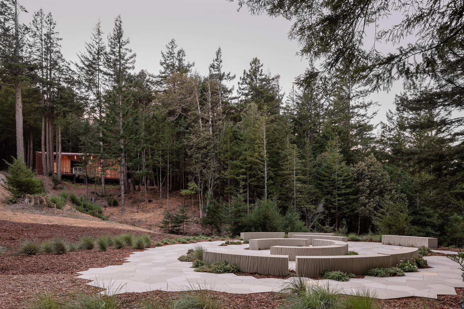 Better Place Forests - image 9