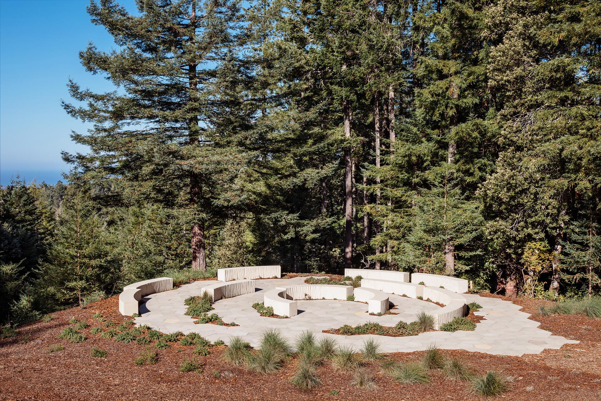 Better Place Forests - image 10