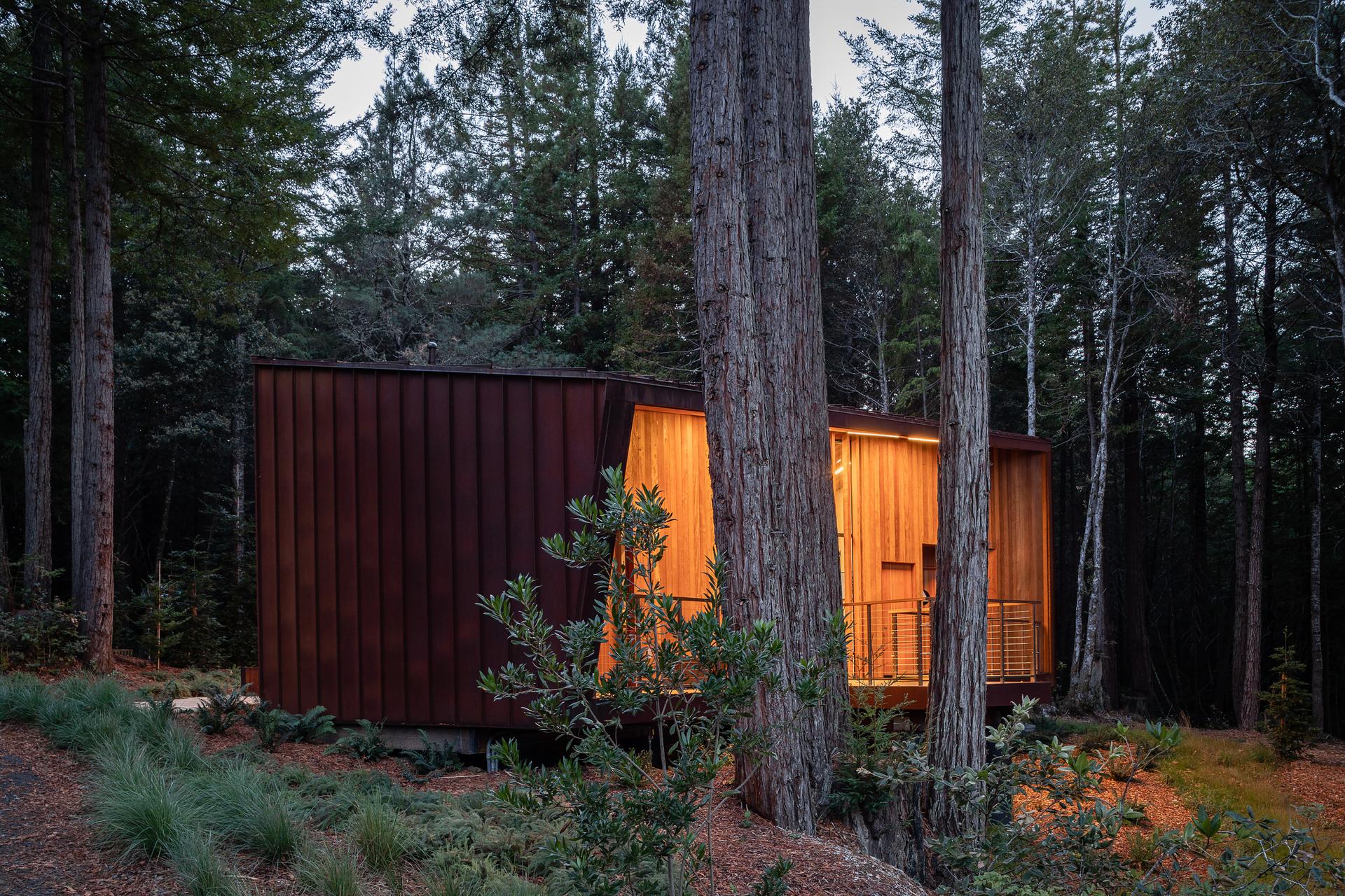 Better Place Forests - image 12