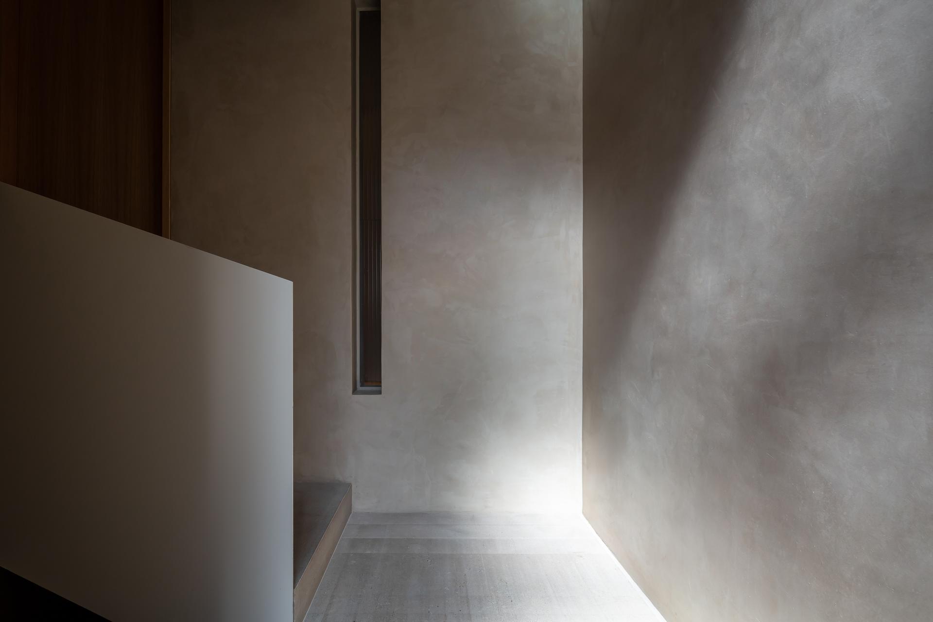 Octavia - image 12